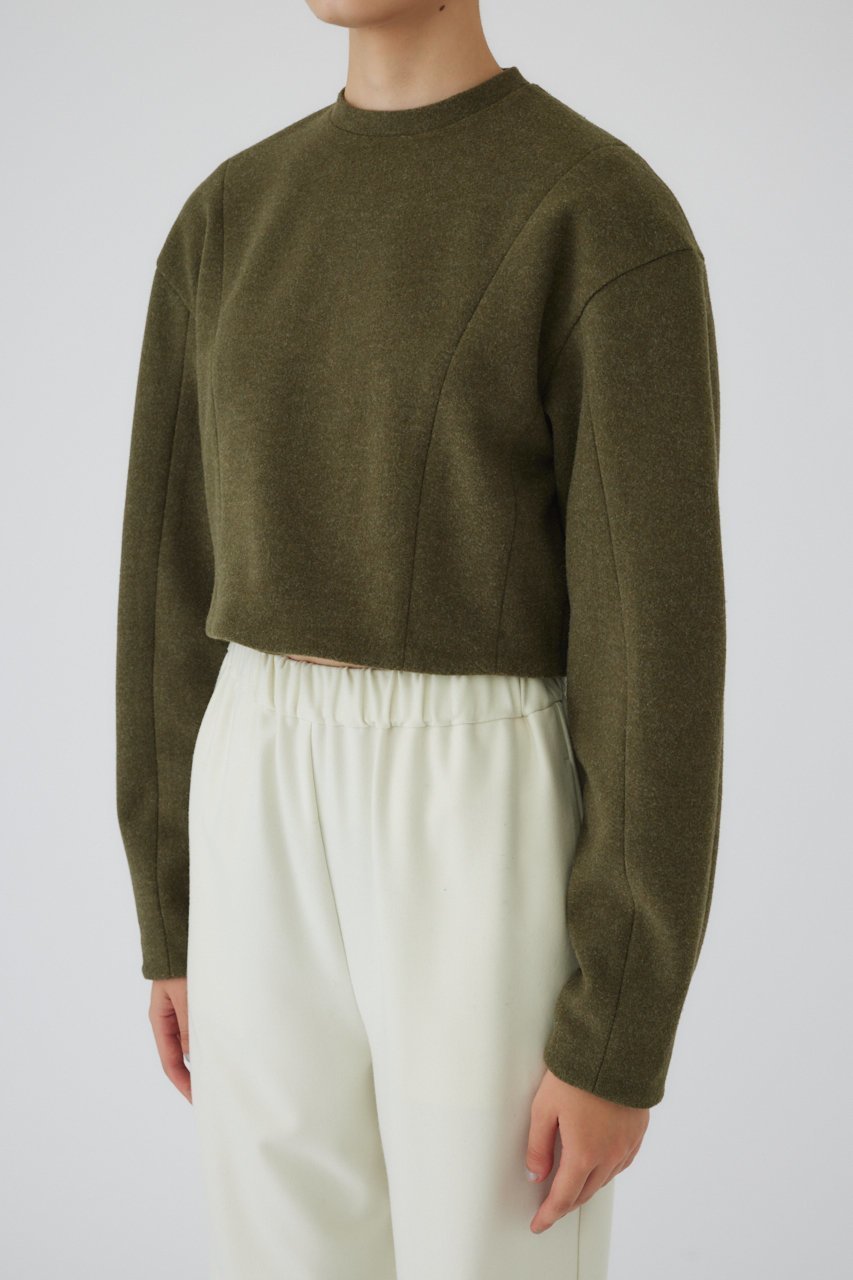 【リムアーク/RIM.ARK】のWarming jersey cropped PO/プルオーバー 人気、トレンドファッション・服の通販 founy(ファニー) 　ファッション　Fashion　レディースファッション　Fashion for Women　トップス・カットソー　Cut & Sew Tops　シャツ・ブラウス・オフィスカジュアル　Elegant Blouses & Button-Ups　レディースパーカー・カジュアルフーディー　Casual Hoodies & Sweatshirts　ロングTシャツ・Tシャツ　Longline T-Shirts & Tees　カジュアルプルオーバー・ニットトップス　Pullovers & Knit Tops / Casual Pullovers　スウェット・クルーネックトップス　Sweatshirts & Crewnecks / Relaxed Fit Sweat Tops　カットソー・ベーシックTシャツ　Cut-and-Sewn Tops / Stretch Tees & Basics　ショート　Short, Short Length　スタイリッシュ　Stylish, Fashionable　モダン　Modern, Contemporary　A/W・秋冬　Autumn/Winter　other-3|ID: prp329100004216026 ipo3291000000032841632