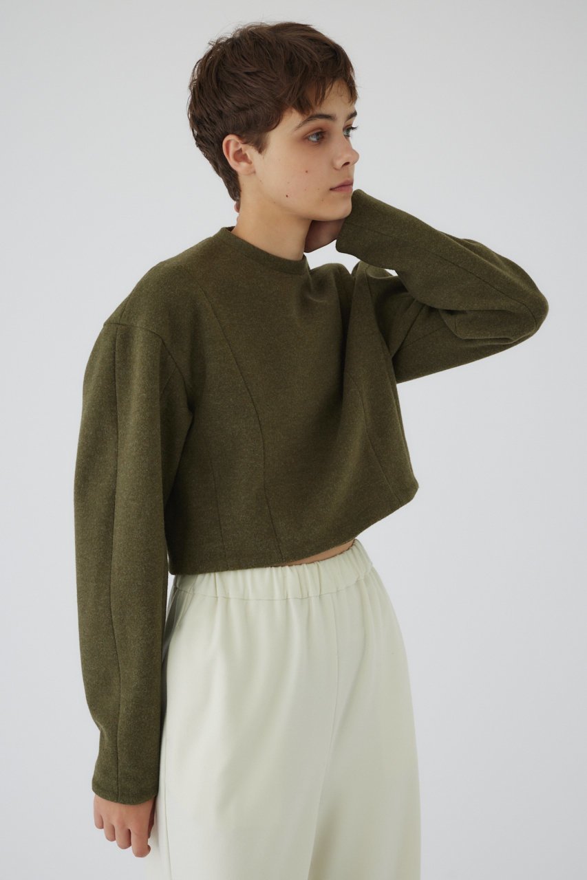 【リムアーク/RIM.ARK】のWarming jersey cropped PO/プルオーバー 人気、トレンドファッション・服の通販 founy(ファニー) 　ファッション　Fashion　レディースファッション　Fashion for Women　トップス・カットソー　Cut & Sew Tops　シャツ・ブラウス・オフィスカジュアル　Elegant Blouses & Button-Ups　レディースパーカー・カジュアルフーディー　Casual Hoodies & Sweatshirts　ロングTシャツ・Tシャツ　Longline T-Shirts & Tees　カジュアルプルオーバー・ニットトップス　Pullovers & Knit Tops / Casual Pullovers　スウェット・クルーネックトップス　Sweatshirts & Crewnecks / Relaxed Fit Sweat Tops　カットソー・ベーシックTシャツ　Cut-and-Sewn Tops / Stretch Tees & Basics　ショート　Short, Short Length　スタイリッシュ　Stylish, Fashionable　モダン　Modern, Contemporary　A/W・秋冬　Autumn/Winter　other-7|ID: prp329100004216026 ipo3291000000032841656