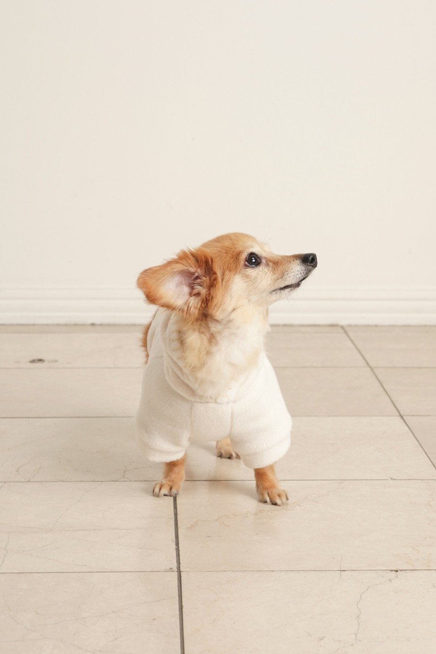 【キッドブルー/KID BLUE / GOODS】の24フリースエンブドッグウエア 人気、トレンドファッション・服の通販 founy(ファニー) 　ポンポン　Pom-Pom, Fluffy Ball　犬　Dog　ホーム・キャンプ・アウトドア・お取り寄せ　Home Living / Home & Lifestyle / Camping Gear / Outdoor Camping　ペットグッズ　Pet Supplies　other-8|ID: prp329100004216082 ipo3291000000034604997