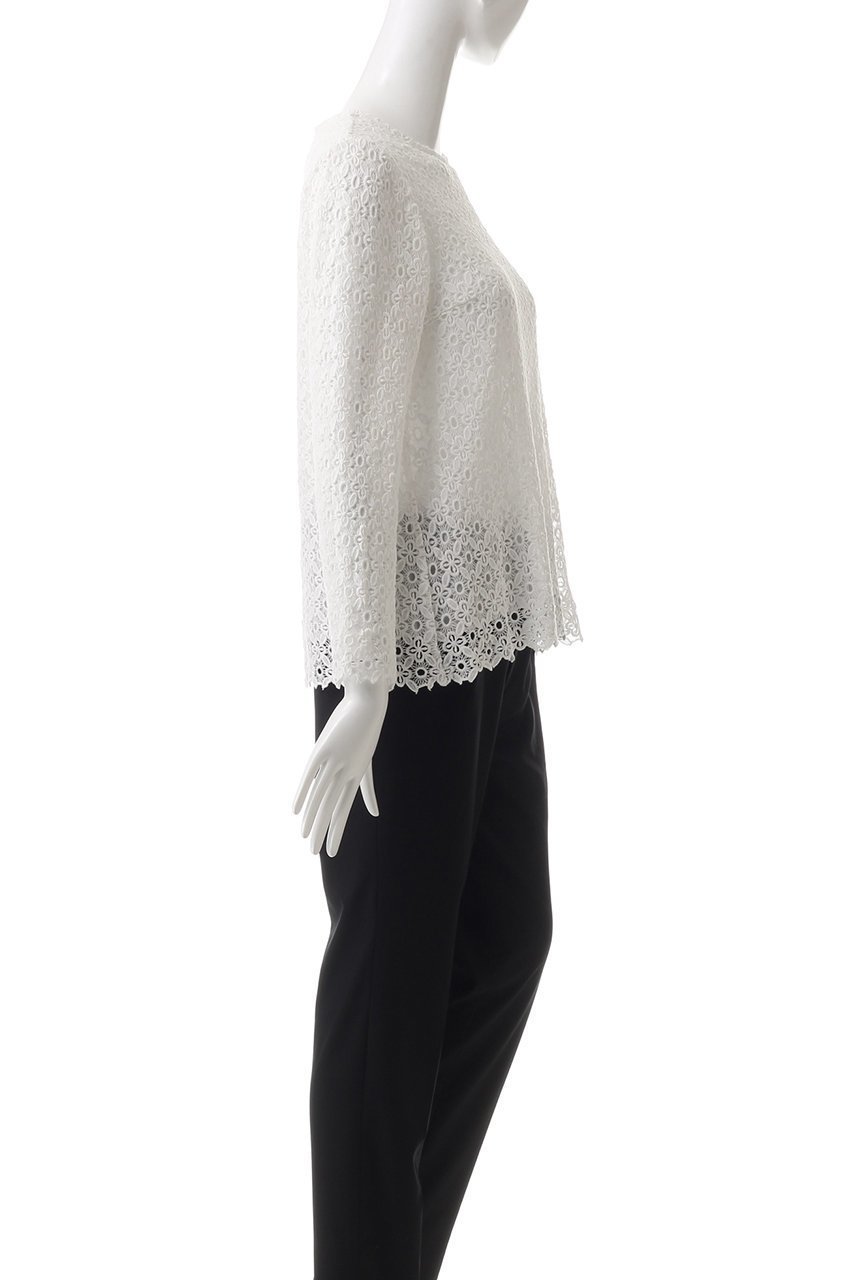 【ビリティス ディセッタン/Bilitis dix-sept ans】の総レース長袖ブラウス 人気、トレンドファッション・服の通販 founy(ファニー) ファッション Fashion レディースファッション Fashion for Women トップス・カットソー Cut & Sew Tops シャツ・ブラウス・オフィスカジュアル Elegant Blouses & Button-Ups スリーブ Sleeve, Long Sleeve / Short Sleeve ボトム Bottoms, Lower Wear レース Lace, Lace Fabric ロング Long, Long-Length 長袖 Long Sleeve, Full Sleeve other-3|ID: prp329100004217371 ipo3291000000034955936