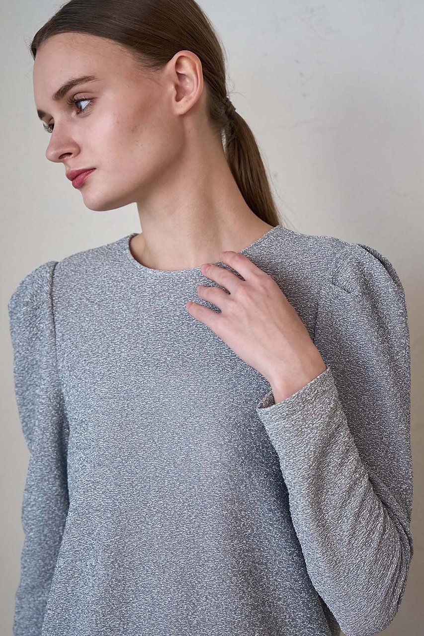 【アナイ/ANAYI】のシャイニージャージークループルオーバー 人気、トレンドファッション・服の通販 founy(ファニー) 　ファッション　Fashion　レディースファッション　Fashion for Women　トップス・カットソー　Cut & Sew Tops　シャツ・ブラウス・オフィスカジュアル　Elegant Blouses & Button-Ups　ロングTシャツ・Tシャツ　Longline T-Shirts & Tees　カジュアルプルオーバー・ニットトップス　Pullovers & Knit Tops / Casual Pullovers　カットソー・ベーシックTシャツ　Cut-and-Sewn Tops / Stretch Tees & Basics　インナー　Innerwear　エレガント 上品　Elegant　コレクション　Collection, Seasonal Line　シンプル　Simple, Minimal　ジャカード／ジャガード　Jacquard, Woven Pattern　スリーブ　Sleeve, Long Sleeve / Short Sleeve　テクスチャー　Texture, Textured Fabric　なめらか　Smooth, Silky Texture　バレエ　Ballet, Ballet Style　ロング　Long, Long-Length　冬　Winter / This Winter　other-7|ID: prp329100004222332 ipo3291000000032890663