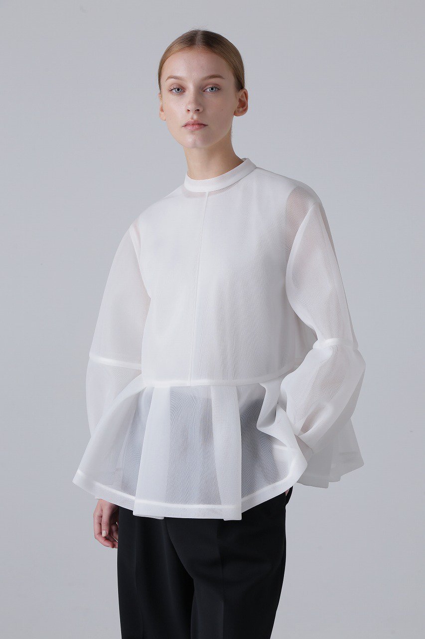 【アドーア/ADORE】のシアーメッシュラッセルカットソー インテリア・キッズ・メンズ・レディースファッション・服の通販 founy(ファニー) 　ファッション　Fashion　レディースファッション　Fashion for Women　トップス・カットソー　Cut & Sew Tops　シャツ・ブラウス・オフィスカジュアル　Elegant Blouses & Button-Ups　ロングTシャツ・Tシャツ　Longline T-Shirts & Tees　カットソー・ベーシックTシャツ　Cut-and-Sewn Tops / Stretch Tees & Basics　シアー　Sheer, See-Through　スリーブ　Sleeve, Long Sleeve / Short Sleeve　トレンド　Trend, Trending Now　ロング　Long, Long-Length　ホワイト|ID: prp329100004225220 ipo3291000000032888201
