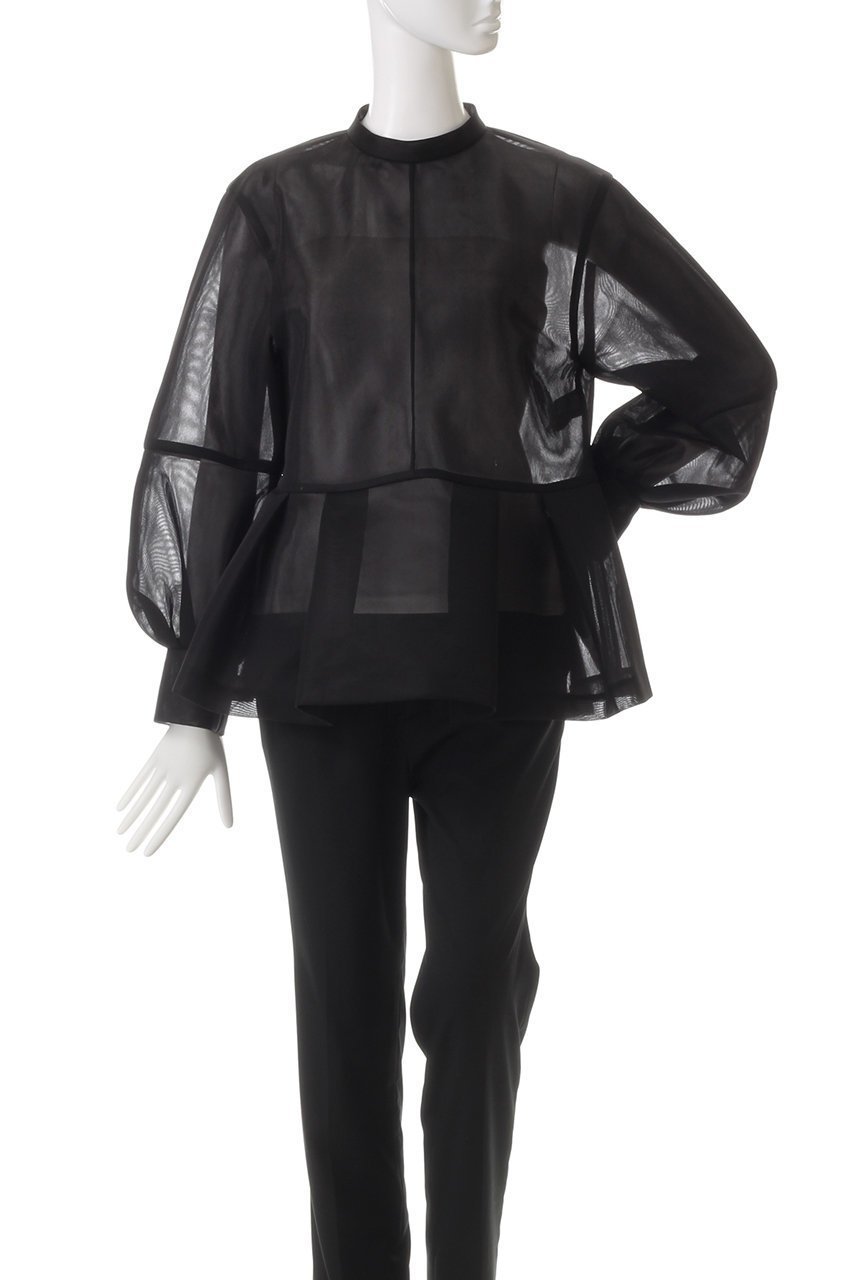 【アドーア/ADORE】のシアーメッシュラッセルカットソー 人気、トレンドファッション・服の通販 founy(ファニー) 　ファッション　Fashion　レディースファッション　Fashion for Women　トップス・カットソー　Cut & Sew Tops　シャツ・ブラウス・オフィスカジュアル　Elegant Blouses & Button-Ups　ロングTシャツ・Tシャツ　Longline T-Shirts & Tees　カットソー・ベーシックTシャツ　Cut-and-Sewn Tops / Stretch Tees & Basics　シアー　Sheer, See-Through　スリーブ　Sleeve, Long Sleeve / Short Sleeve　トレンド　Trend, Trending Now　ロング　Long, Long-Length　other-2|ID: prp329100004225220 ipo3291000000032888209