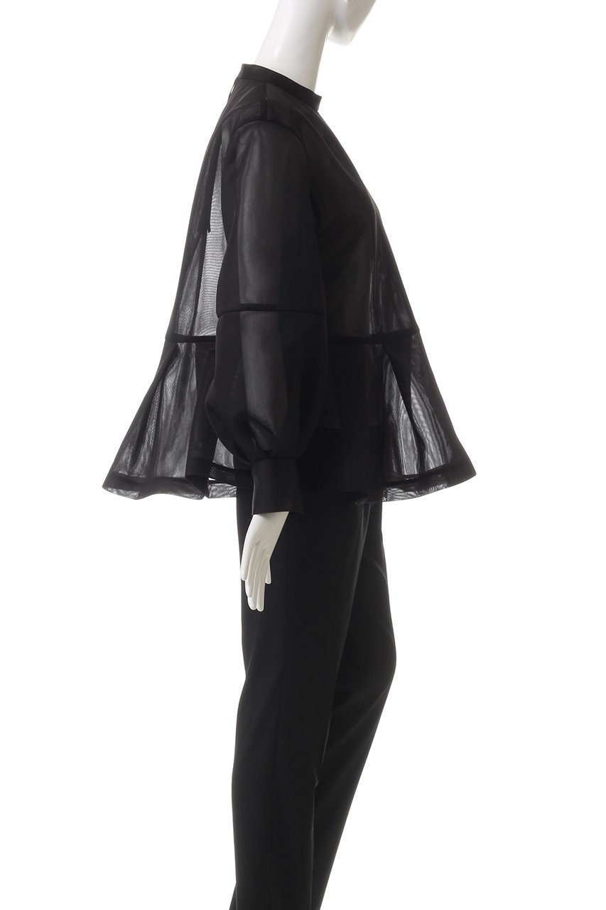 【アドーア/ADORE】のシアーメッシュラッセルカットソー 人気、トレンドファッション・服の通販 founy(ファニー) 　ファッション　Fashion　レディースファッション　Fashion for Women　トップス・カットソー　Cut & Sew Tops　シャツ・ブラウス・オフィスカジュアル　Elegant Blouses & Button-Ups　ロングTシャツ・Tシャツ　Longline T-Shirts & Tees　カットソー・ベーシックTシャツ　Cut-and-Sewn Tops / Stretch Tees & Basics　シアー　Sheer, See-Through　スリーブ　Sleeve, Long Sleeve / Short Sleeve　トレンド　Trend, Trending Now　ロング　Long, Long-Length　other-3|ID: prp329100004225220 ipo3291000000032888214