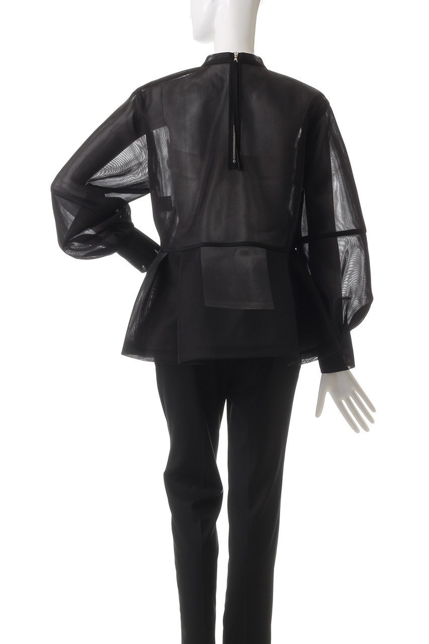 【アドーア/ADORE】のシアーメッシュラッセルカットソー 人気、トレンドファッション・服の通販 founy(ファニー) 　ファッション　Fashion　レディースファッション　Fashion for Women　トップス・カットソー　Cut & Sew Tops　シャツ・ブラウス・オフィスカジュアル　Elegant Blouses & Button-Ups　ロングTシャツ・Tシャツ　Longline T-Shirts & Tees　カットソー・ベーシックTシャツ　Cut-and-Sewn Tops / Stretch Tees & Basics　シアー　Sheer, See-Through　スリーブ　Sleeve, Long Sleeve / Short Sleeve　トレンド　Trend, Trending Now　ロング　Long, Long-Length　other-4|ID: prp329100004225220 ipo3291000000032888217