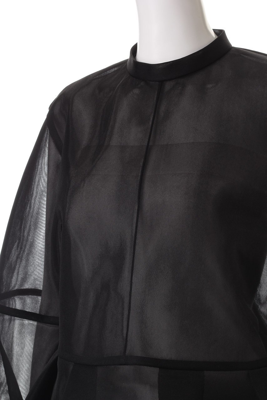 【アドーア/ADORE】のシアーメッシュラッセルカットソー 人気、トレンドファッション・服の通販 founy(ファニー) 　ファッション　Fashion　レディースファッション　Fashion for Women　トップス・カットソー　Cut & Sew Tops　シャツ・ブラウス・オフィスカジュアル　Elegant Blouses & Button-Ups　ロングTシャツ・Tシャツ　Longline T-Shirts & Tees　カットソー・ベーシックTシャツ　Cut-and-Sewn Tops / Stretch Tees & Basics　シアー　Sheer, See-Through　スリーブ　Sleeve, Long Sleeve / Short Sleeve　トレンド　Trend, Trending Now　ロング　Long, Long-Length　other-5|ID: prp329100004225220 ipo3291000000032888222