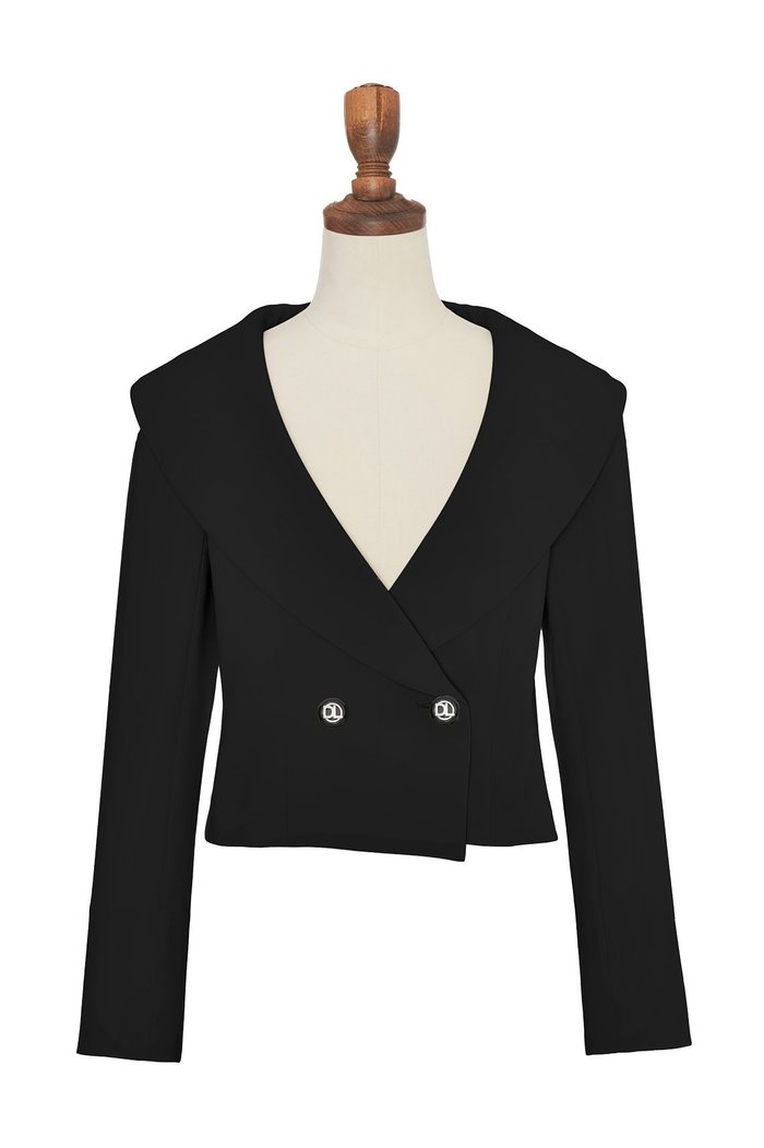 【デイジーリン/DAISY LIN】のJacket “Miss Lin Love II” インテリア・キッズ・メンズ・レディースファッション・服の通販 founy(ファニー) https://founy.com/ ファッション Fashion レディースファッション Fashion for Women アウター Coat / Outerwear Collection レディースジャケット・軽アウター Jackets エレガント 上品 Elegant シェイプ Shape, Slim Fit ジャケット Jacket, Outerwear スタイリッシュ Stylish, Fashionable バランス Balance, Style Balance ワイド Wide, Wide Fit 人気 Popular, Best Seller |ID: prp329100004229933 ipo3291000000032941930