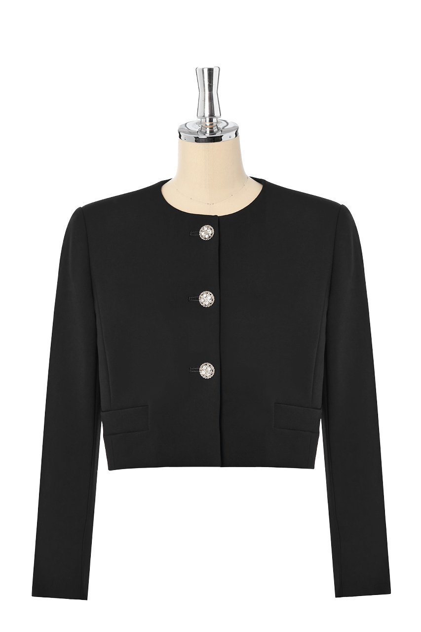 【デイジーリン/DAISY LIN】のUpper Class Jacket インテリア・キッズ・メンズ・レディースファッション・服の通販 founy(ファニー) 　ファッション　Fashion　レディースファッション　Fashion for Women　アウター　Coat / Outerwear Collection　レディースジャケット・軽アウター　Jackets　インナー　Innerwear　ウォッシャブル　Machine Washable　サテン　Satin, Glossy Fabric　ショルダー　Shoulder, Shoulder Strap　ジャケット　Jacket, Outerwear　ジュエリー　Jewelry, Accessories　ストレッチ　Stretch, Stretchy Fabric　スマート　Smart, Elegant　バランス　Balance, Style Balance　フォーマル　Formal, Dressy　ポケット　Pocket, Pocket Detail　ラウンド　Round, Round Neck　ブラックブラック|ID: prp329100004229934 ipo3291000000035924144