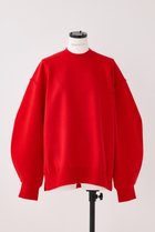 【ナゴンスタンス/nagonstans】のForm P.O/プルオーバー 人気、トレンドファッション・服の通販 founy(ファニー) ファッション Fashion レディースファッション Fashion for Women トップス・カットソー Cut & Sew Tops ニット Knit Tops & Sweaters カジュアルプルオーバー・ニットトップス Pullovers & Knit Tops / Casual Pullovers スリット Slit, Slit Detail ベーシック Basic, Essential thumbnail Chili|ID: prp329100004230875 ipo3291000000035623402