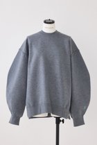 【ナゴンスタンス/nagonstans】のForm P.O/プルオーバー 人気、トレンドファッション・服の通販 founy(ファニー) ファッション Fashion レディースファッション Fashion for Women トップス・カットソー Cut & Sew Tops ニット Knit Tops & Sweaters カジュアルプルオーバー・ニットトップス Pullovers & Knit Tops / Casual Pullovers スリット Slit, Slit Detail ベーシック Basic, Essential thumbnail Wolf|ID: prp329100004230875 ipo3291000000035623408