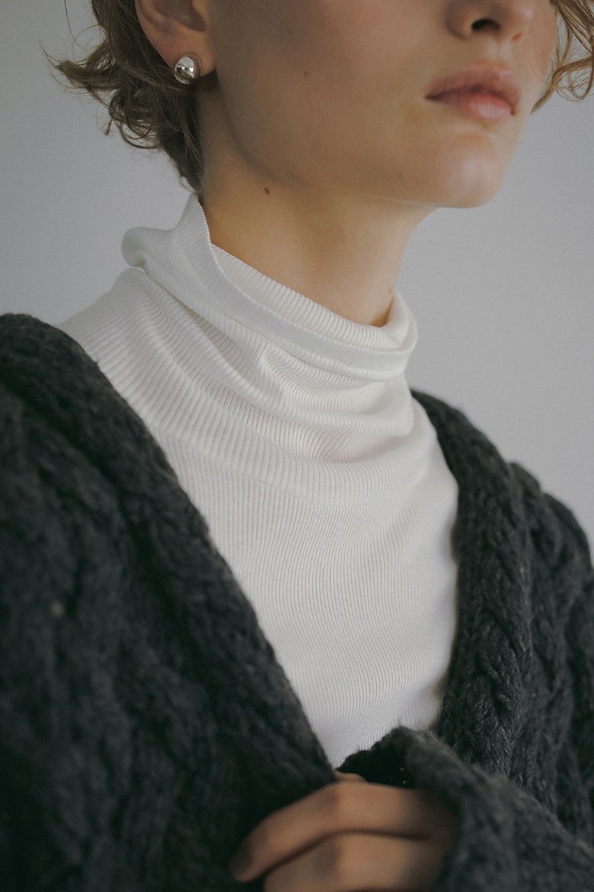 【ハー/HER.】のテレコタートルネックトップス 人気、トレンドファッション・服の通販 founy(ファニー) 　ファッション　Fashion　レディースファッション　Fashion for Women　トップス・カットソー　Cut & Sew Tops　シャツ・ブラウス・オフィスカジュアル　Elegant Blouses & Button-Ups　ロングTシャツ・Tシャツ　Longline T-Shirts & Tees　カットソー・ベーシックTシャツ　Cut-and-Sewn Tops / Stretch Tees & Basics　タートルネック・ハイネックトップス　Turtlenecks & High-Neck Tops　インナー　Innerwear　カットソー　Cut and Sewn Top　スリーブ　Sleeve, Long Sleeve / Short Sleeve　タートルネック　Turtleneck, High Neck　ロング　Long, Long-Length　冬　Winter / This Winter　other-8|ID: prp329100004236994 ipo3291000000032892216