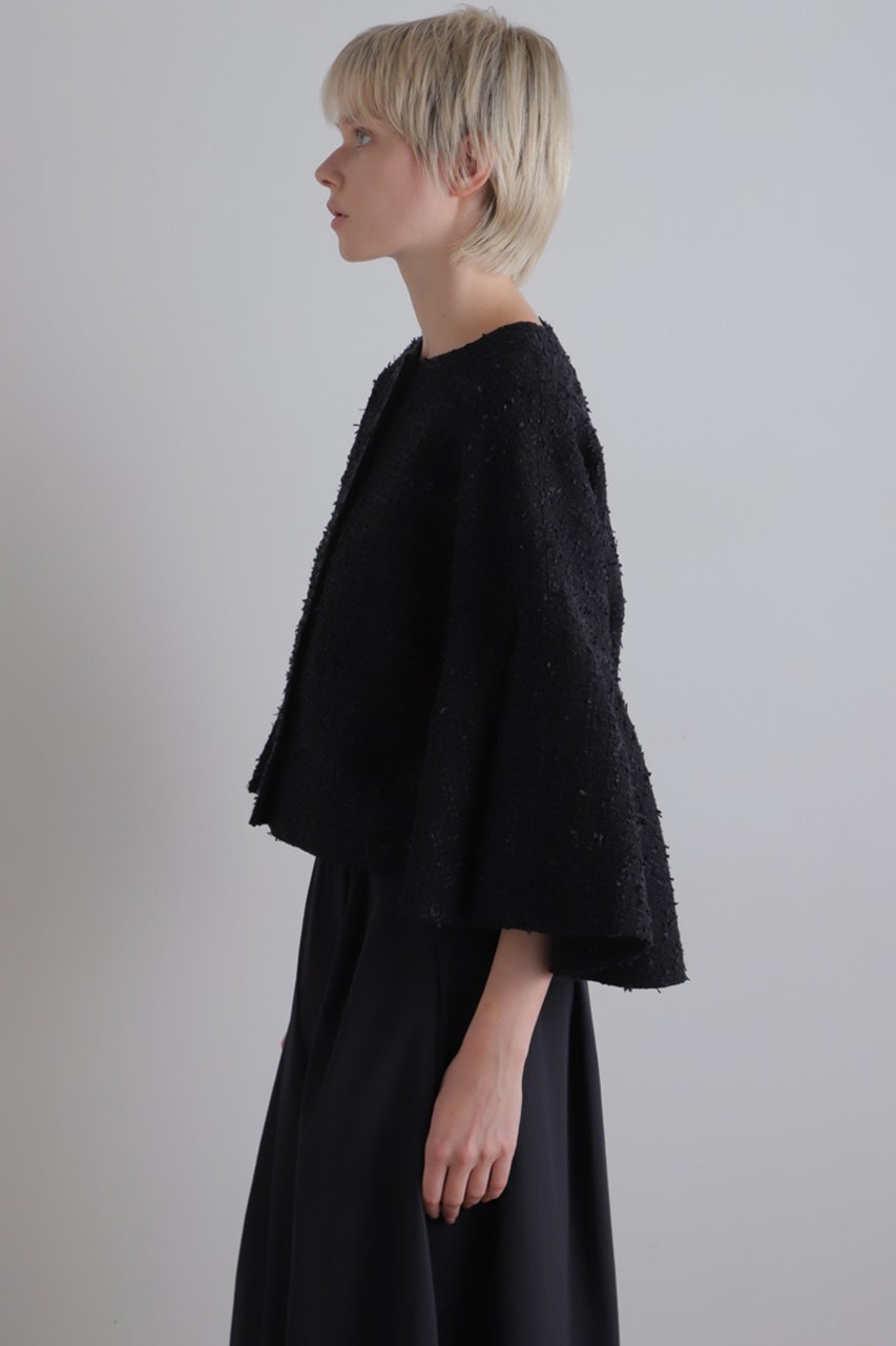 【ル フィル/LE PHIL】のフリンジツィードジャケット 人気、トレンドファッション・服の通販 founy(ファニー) 　ファッション　Fashion　レディースファッション　Fashion for Women　アウター　Coat / Outerwear Collection　レディースジャケット・軽アウター　Jackets　コンパクト　Compact, Small Size　ショート　Short, Short Length　ジャケット　Jacket, Outerwear　スリーブ　Sleeve, Long Sleeve / Short Sleeve　ツイード　Twill, Twill Weave　バランス　Balance, Style Balance　フレア　Flare, Flared　ボトム　Bottoms, Lower Wear　ミックス　Mix, Mixed Style　ロング　Long, Long-Length　エレガント 上品　Elegant　other-3|ID: prp329100004240706 ipo3291000000035863566