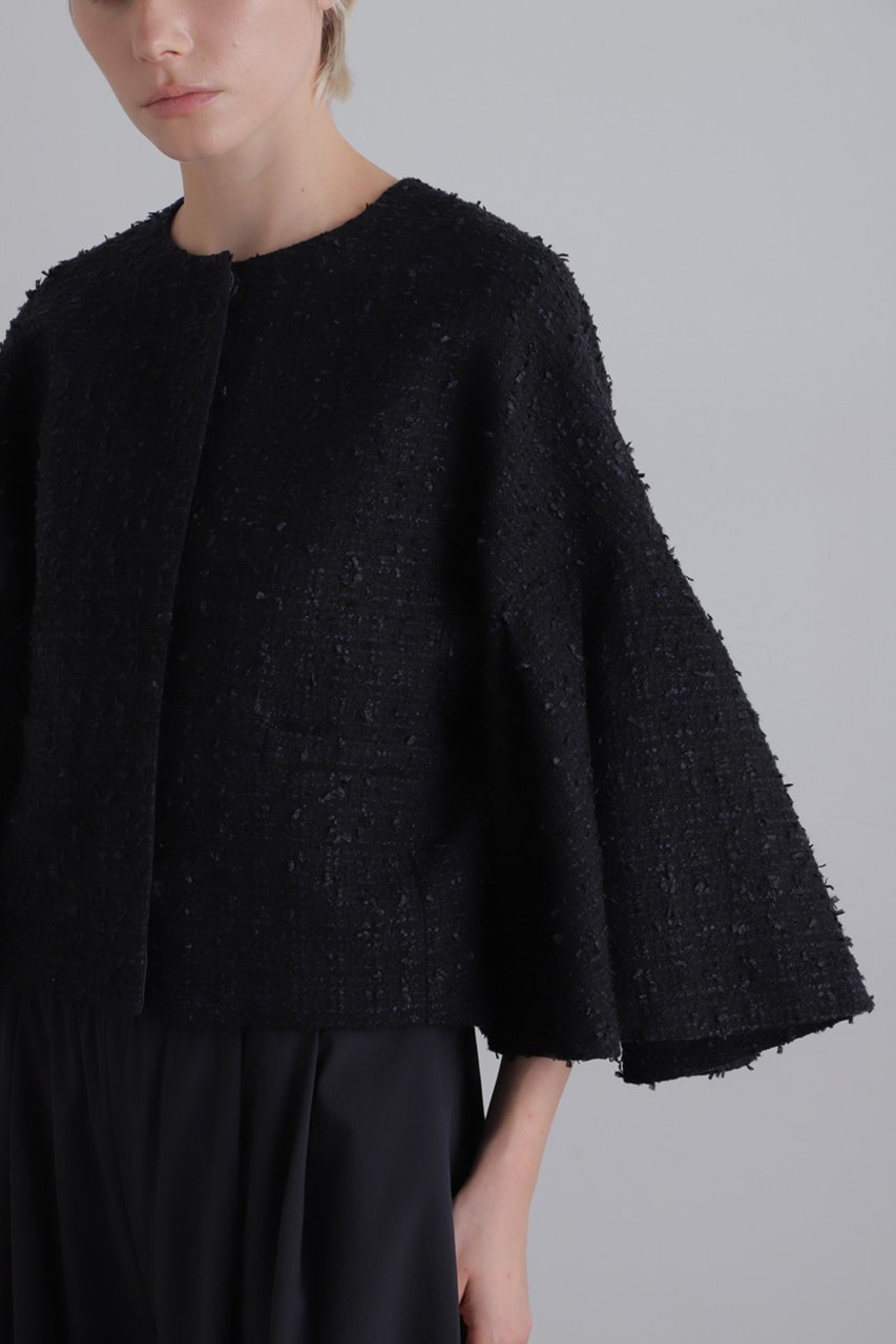 【ル フィル/LE PHIL】のフリンジツィードジャケット 人気、トレンドファッション・服の通販 founy(ファニー) 　ファッション　Fashion　レディースファッション　Fashion for Women　アウター　Coat / Outerwear Collection　レディースジャケット・軽アウター　Jackets　コンパクト　Compact, Small Size　ショート　Short, Short Length　ジャケット　Jacket, Outerwear　スリーブ　Sleeve, Long Sleeve / Short Sleeve　ツイード　Twill, Twill Weave　バランス　Balance, Style Balance　フレア　Flare, Flared　ボトム　Bottoms, Lower Wear　ミックス　Mix, Mixed Style　ロング　Long, Long-Length　エレガント 上品　Elegant　other-6|ID: prp329100004240706 ipo3291000000035863569