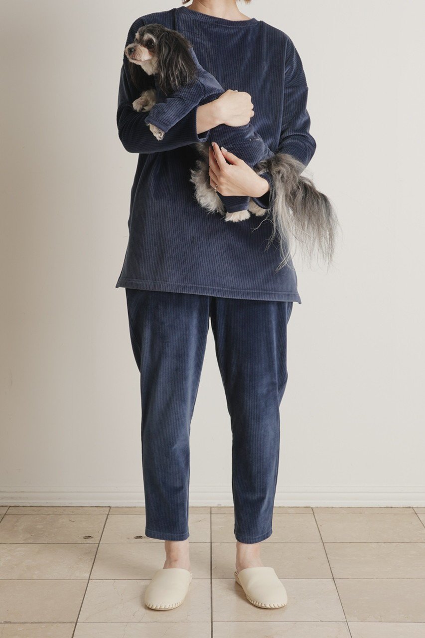 【キッドブルー/KID BLUE / GOODS】の24ストライプシャギードッグウエア 人気、トレンドファッション・服の通販 founy(ファニー) 　なめらか　Smooth, Silky Texture　ストライプ　Stripe, Striped Pattern　ハイネック　High Neck, Mock Neck　ベロア　Velour, Soft Velvet　ホーム・キャンプ・アウトドア・お取り寄せ　Home Living / Home & Lifestyle / Camping Gear / Outdoor Camping　ペットグッズ　Pet Supplies　other-8|ID: prp329100004248014 ipo3291000000035783894