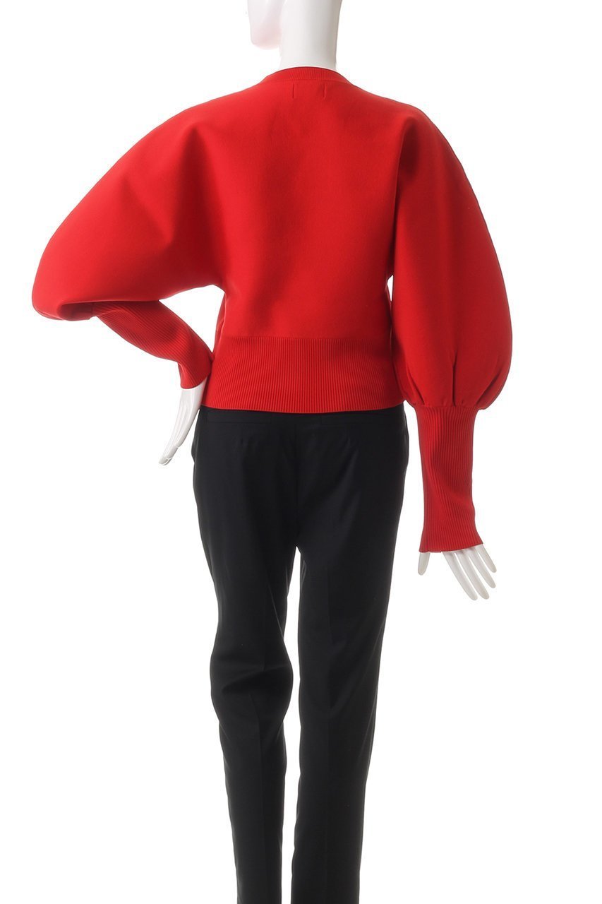 【ティーチ/TEECHI】の「バルーンスリーブグラマラスニット」ウォッシャブルヤーン 人気、トレンドファッション・服の通販 founy(ファニー) 　ファッション　Fashion　レディースファッション　Fashion for Women　トップス・カットソー　Cut & Sew Tops　ニット　Knit Tops & Sweaters　カジュアルプルオーバー・ニットトップス　Pullovers & Knit Tops / Casual Pullovers　エレガント 上品　Elegant　カフス　Cuff Design　シンプル　Simple, Minimal　スリーブ　Sleeve, Long Sleeve / Short Sleeve　デニム　Denim, Jeans Material　other-4|ID: prp329100004250708 ipo3291000000035623349