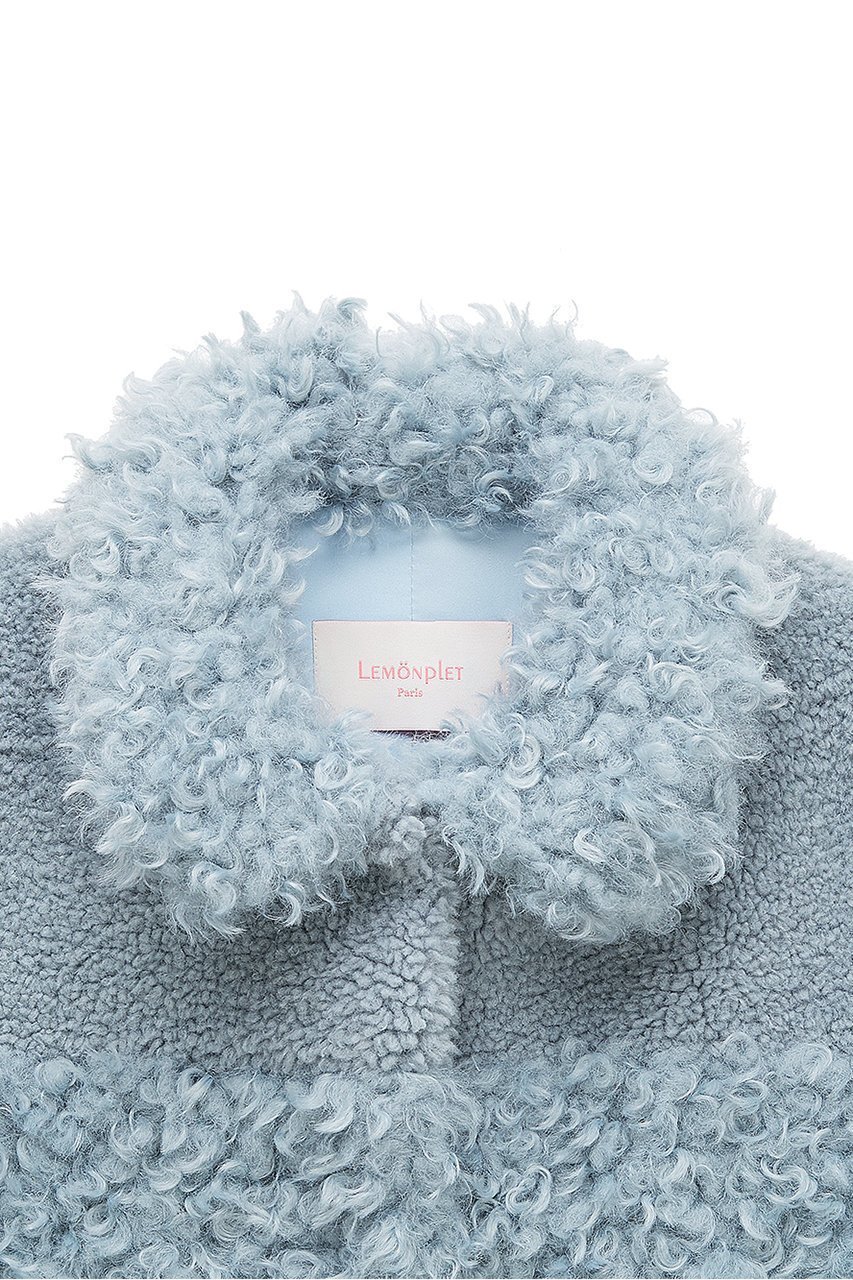【レモンプレット/Lemonplet】のFAUX FUR BONNE JACKET 人気、トレンドファッション・服の通販 founy(ファニー) 　ファッション　Fashion　レディースファッション　Fashion for Women　アウター　Coat / Outerwear Collection　レディースジャケット・軽アウター　Jackets　ジャケット　Jacket, Outerwear　フェイクファー　Faux Fur, Imitation Fur　A/W・秋冬　Autumn/Winter　other-3|ID: prp329100004259098 ipo3291000000032927652