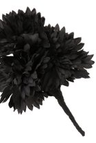 thumbnail other-3