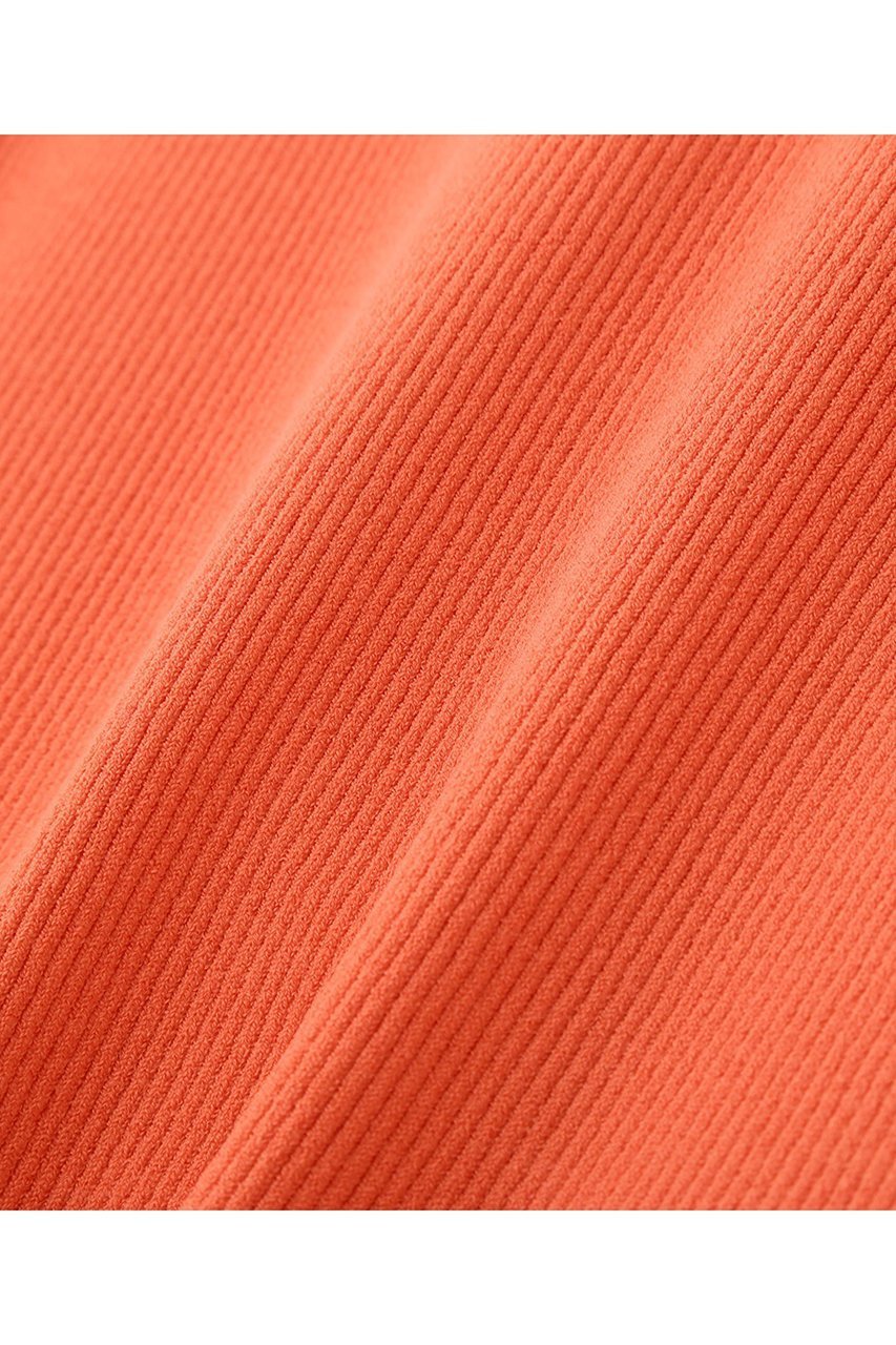 【アドーア/ADORE】のベーシックリブニット 人気、トレンドファッション・服の通販 founy(ファニー) 　ファッション　Fashion　レディースファッション　Fashion for Women　トップス・カットソー　Cut & Sew Tops　ニット　Knit Tops & Sweaters　カジュアルプルオーバー・ニットトップス　Pullovers & Knit Tops / Casual Pullovers　2025年　2025　2025-2026秋冬・A/W　Autumn/Winter 2025–26 AW25–26　オレンジ　Orange　リブニット　Rib Knit, Ribbed Knit　定番　Standard, Basic Item　other-4|ID: prp329100004263769 ipo3291000000036062970