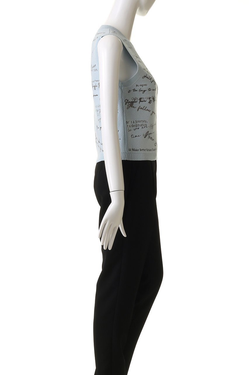 【メゾンスペシャル/MAISON SPECIAL】のEmbroidery Vest/エンブロイダリーベスト 人気、トレンドファッション・服の通販 founy(ファニー) 　ファッション　Fashion　レディースファッション　Fashion for Women　トップス・カットソー　Cut & Sew Tops　ニット　Knit Tops & Sweaters　ベスト&ジレ / 重ね着スタイル　Vests & Gilets　カジュアルプルオーバー・ニットトップス　Pullovers & Knit Tops / Casual Pullovers　インナー　Innerwear　カラフル　Colorful Design　タンク　Tank Top, Sleeveless Top　ベスト　Vest, Waistcoat　モノトーン　Monotone, Black and White　夏　Summer　other-3|ID: prp329100004271053 ipo3291000000032954761