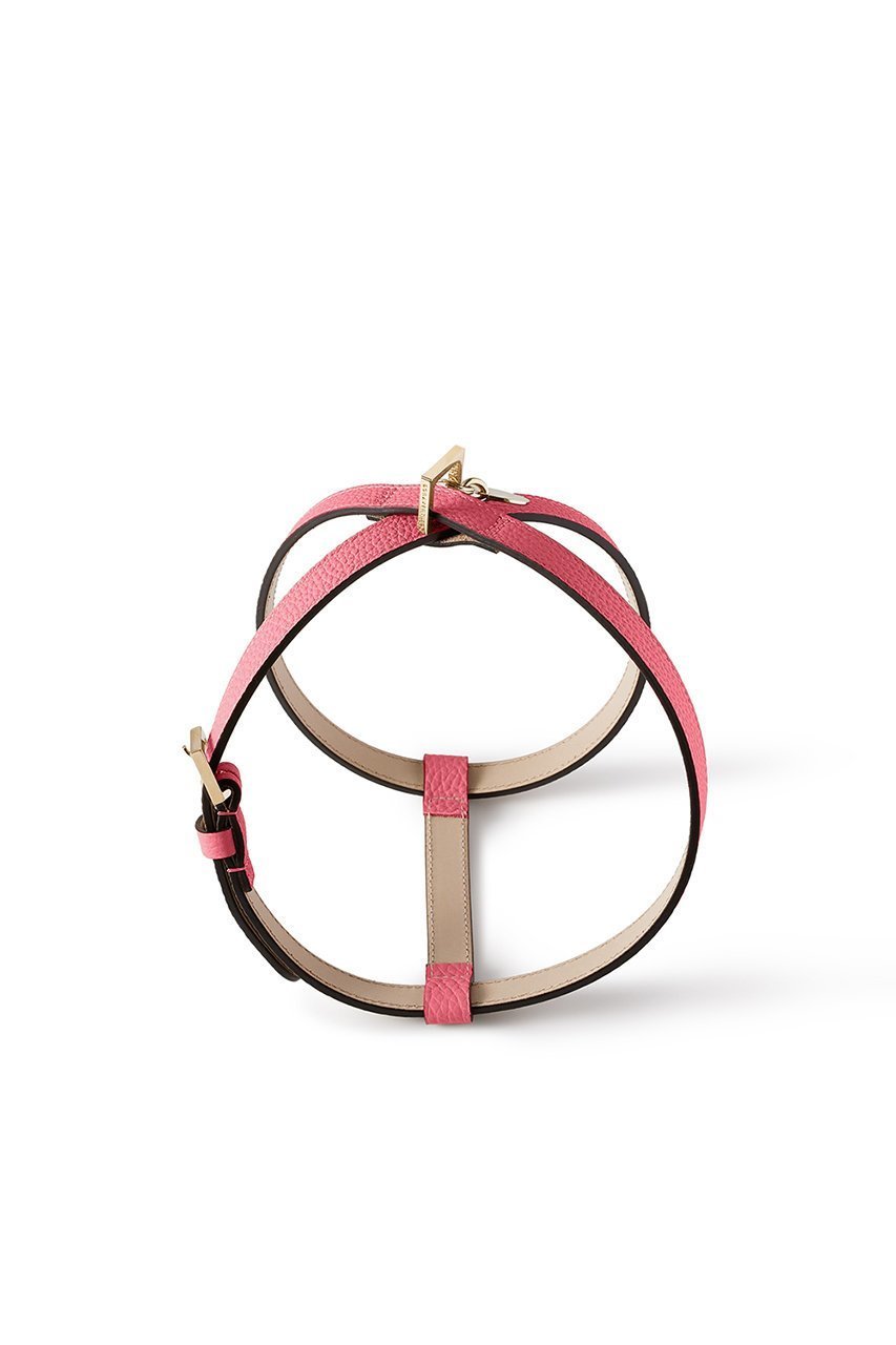 【ボナベンチュラ/BONAVENTURA / GOODS】の【ペット】BONAVENTURA × FRIDA Firenze ハーネス 45 シュリンクレザー インテリア・キッズ・メンズ・レディースファッション・服の通販 founy(ファニー) 　イタリア　Italy　コラボ　Collaboration, Collab　コーティング　Coating, Coated Finish　ダブル　Double, Double-Breasted　ハンド　Hand, Handmade　犬　Dog　エレガント 上品　Elegant　ホーム・キャンプ・アウトドア・お取り寄せ　Home Living / Home & Lifestyle / Camping Gear / Outdoor Camping　ペットグッズ　Pet Supplies　アザレピンク|ID: prp329100004279993 ipo3291000000033667164