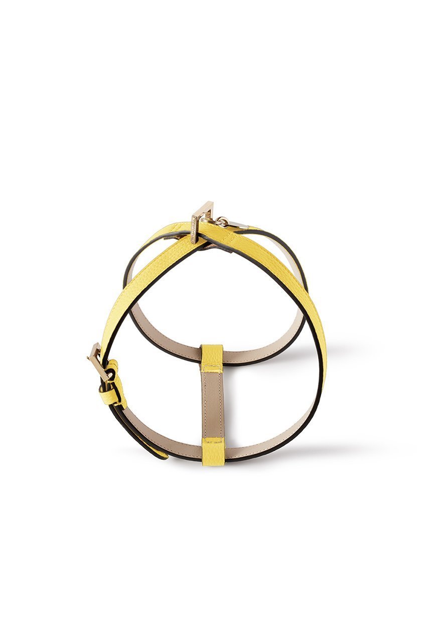 【ボナベンチュラ/BONAVENTURA / GOODS】の【ペット】BONAVENTURA × FRIDA Firenze ハーネス 40 シュリンクレザー インテリア・キッズ・メンズ・レディースファッション・服の通販 founy(ファニー) 　イタリア　Italy　コラボ　Collaboration, Collab　コーティング　Coating, Coated Finish　ダブル　Double, Double-Breasted　ハンド　Hand, Handmade　犬　Dog　エレガント 上品　Elegant　ホーム・キャンプ・アウトドア・お取り寄せ　Home Living / Home & Lifestyle / Camping Gear / Outdoor Camping　ペットグッズ　Pet Supplies　イエロー|ID: prp329100004279994 ipo3291000000035783900