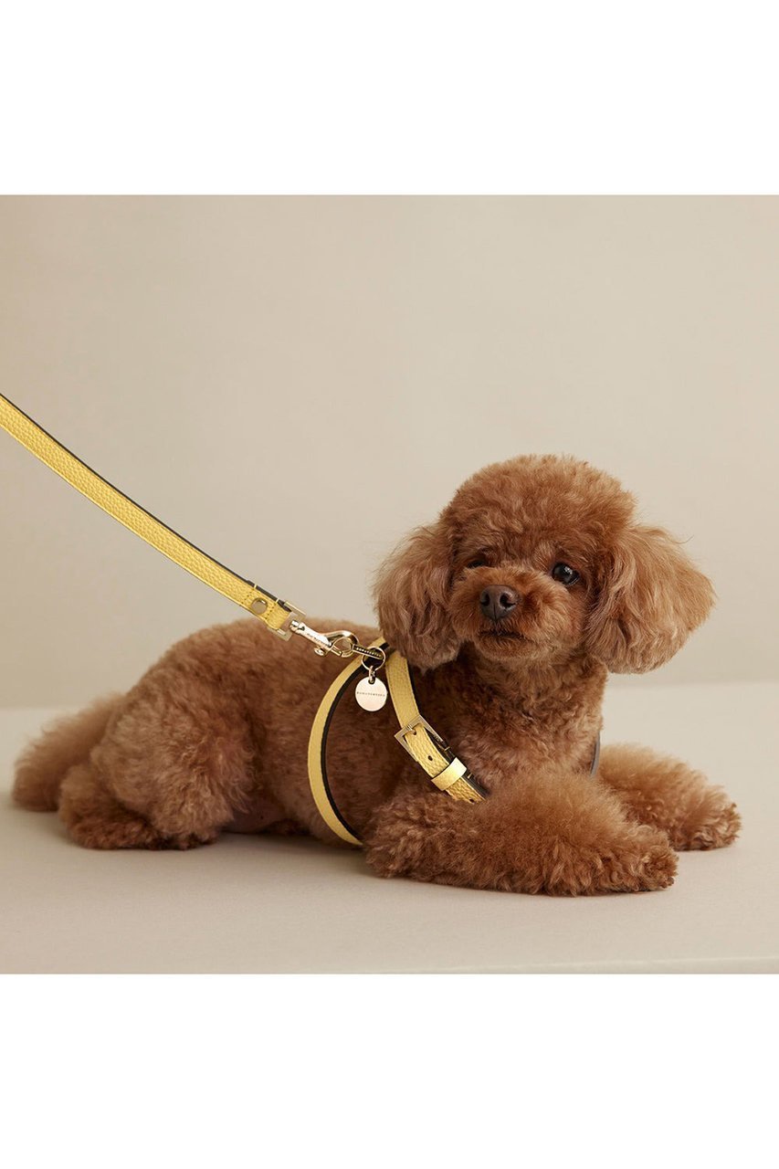 【ボナベンチュラ/BONAVENTURA / GOODS】の【ペット】BONAVENTURA × FRIDA Firenze ハーネス 40 シュリンクレザー 人気、トレンドファッション・服の通販 founy(ファニー) 　イタリア　Italy　コラボ　Collaboration, Collab　コーティング　Coating, Coated Finish　ダブル　Double, Double-Breasted　ハンド　Hand, Handmade　犬　Dog　エレガント 上品　Elegant　ホーム・キャンプ・アウトドア・お取り寄せ　Home Living / Home & Lifestyle / Camping Gear / Outdoor Camping　ペットグッズ　Pet Supplies　other-6|ID: prp329100004279994 ipo3291000000035783905