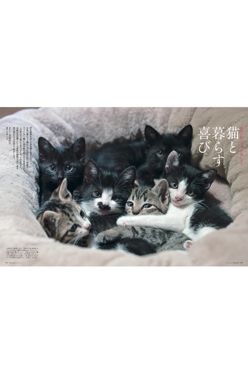 【ハースト婦人画報社/Hearst Fujingaho】の【送料無料】婦人画報 2月号(2024/12/27発売) 人気、トレンドファッション・服の通販 founy(ファニー) 　ファッション　Fashion　レディースファッション　WOMEN　インナー　Inner　秋　Autumn/Fall　コレクション　Collection　スペシャル　Special　雑誌　Magazine　2月号　February Issue　ベーシック　Basic　送料無料　Free Shipping　年末年始　The Year-End And New Year Holidays　ギフト プレゼント　Gift Present　other-8|ID: prp329100004316367 ipo3291000000031548906