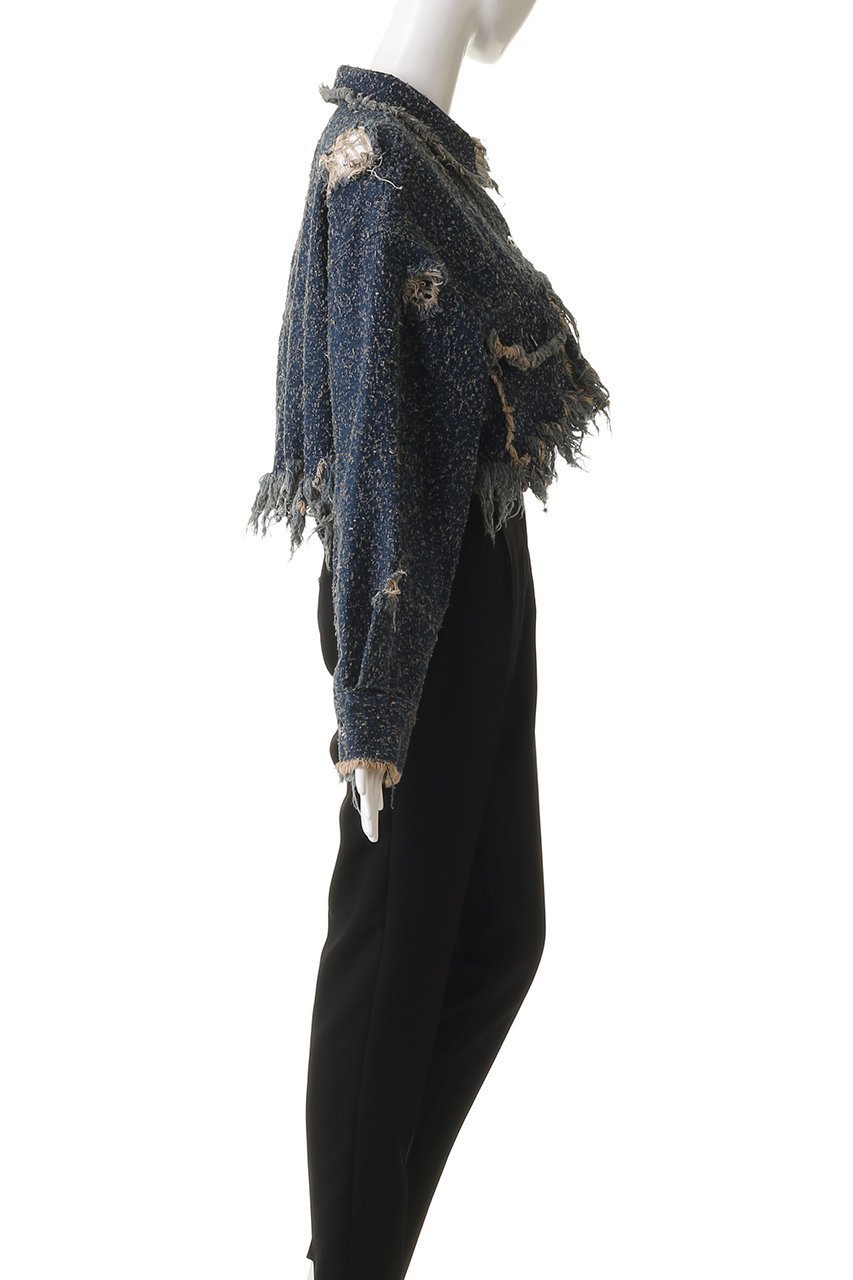 【プランク プロジェクト/PRANK PROJECT】のツイーディーデニムブルゾン / Tweedy Denim Blouson 人気、トレンドファッション・服の通販 founy(ファニー) 　ファッション　Fashion　レディースファッション　WOMEN　アウター　Coat Outerwear　ジャケット　Jackets　ブルゾン　Blouson/Jackets　おすすめ　Recommend　ジャケット　Jacket　ツイード　Tweed　デニム　Denim　ハンド　Hand　バランス　Balance　フリンジ　Fringe　ブルゾン　Blouson　マキシ　Maxi　春　Spring　秋　Autumn/Fall　軽量　Lightweight　other-3|ID: prp329100004335056 ipo3291000000031359795