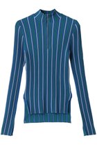 【ナゴンスタンス/nagonstans】のストライプZip P.O/プルオーバー 人気、トレンドファッション・服の通販 founy(ファニー) ファッション Fashion レディースファッション Fashion for Women トップス・カットソー Cut & Sew Tops シャツ・ブラウス・オフィスカジュアル Elegant Blouses & Button-Ups ロングTシャツ・Tシャツ Longline T-Shirts & Tees カジュアルプルオーバー・ニットトップス Pullovers & Knit Tops / Casual Pullovers カットソー・ベーシックTシャツ Cut-and-Sewn Tops / Stretch Tees & Basics スタンド Stand Collar, Upright Stand ストライプ Stripe, Striped Pattern スリーブ Sleeve, Long Sleeve / Short Sleeve ベーシック Basic, Essential ロング Long, Long-Length thumbnail Sky|ID: prp329100004335061 ipo3291000000035933797