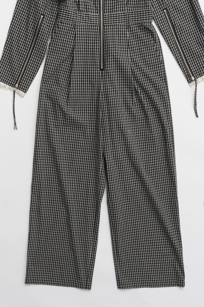 【プランク プロジェクト/PRANK PROJECT】のチェックオールインワン / Checked All In One 人気、トレンドファッション・服の通販 founy(ファニー) 　ファッション　Fashion　レディースファッション　Fashion for Women　パンツ　Pants & Trousers　エレガント 上品　Elegant　カッティング　Cutting Detail　サテン　Satin, Glossy Fabric　ダブル　Double, Double-Breasted　チェック　Check, Plaid, Tartan　リラックス　Relax, Relaxed Fit　夏　Summer　other-3|ID: prp329100004335099 ipo3291000000032914974
