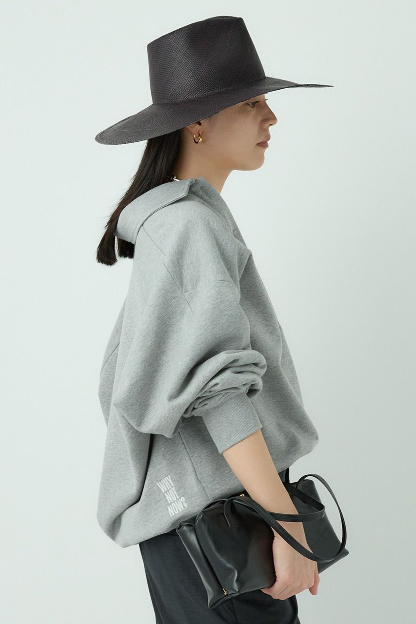 【カオス/Chaos】の【WHY NOT NOW】コアスキッパープルオーバー 人気、トレンドファッション・服の通販 founy(ファニー) 　ファッション　Fashion　レディースファッション　Fashion for Women　トップス・カットソー　Cut & Sew Tops　シャツ・ブラウス・オフィスカジュアル　Elegant Blouses & Button-Ups　レディースパーカー・カジュアルフーディー　Casual Hoodies & Sweatshirts　ロングTシャツ・Tシャツ　Longline T-Shirts & Tees　カジュアルプルオーバー・ニットトップス　Pullovers & Knit Tops / Casual Pullovers　スウェット・クルーネックトップス　Sweatshirts & Crewnecks / Relaxed Fit Sweat Tops　カットソー・ベーシックTシャツ　Cut-and-Sewn Tops / Stretch Tees & Basics　おすすめ　Recommended / Our Picks　リラックス　Relax, Relaxed Fit　ループ　Loop, Loop Knit　other-6|ID: prp329100004337362 ipo3291000000032867660