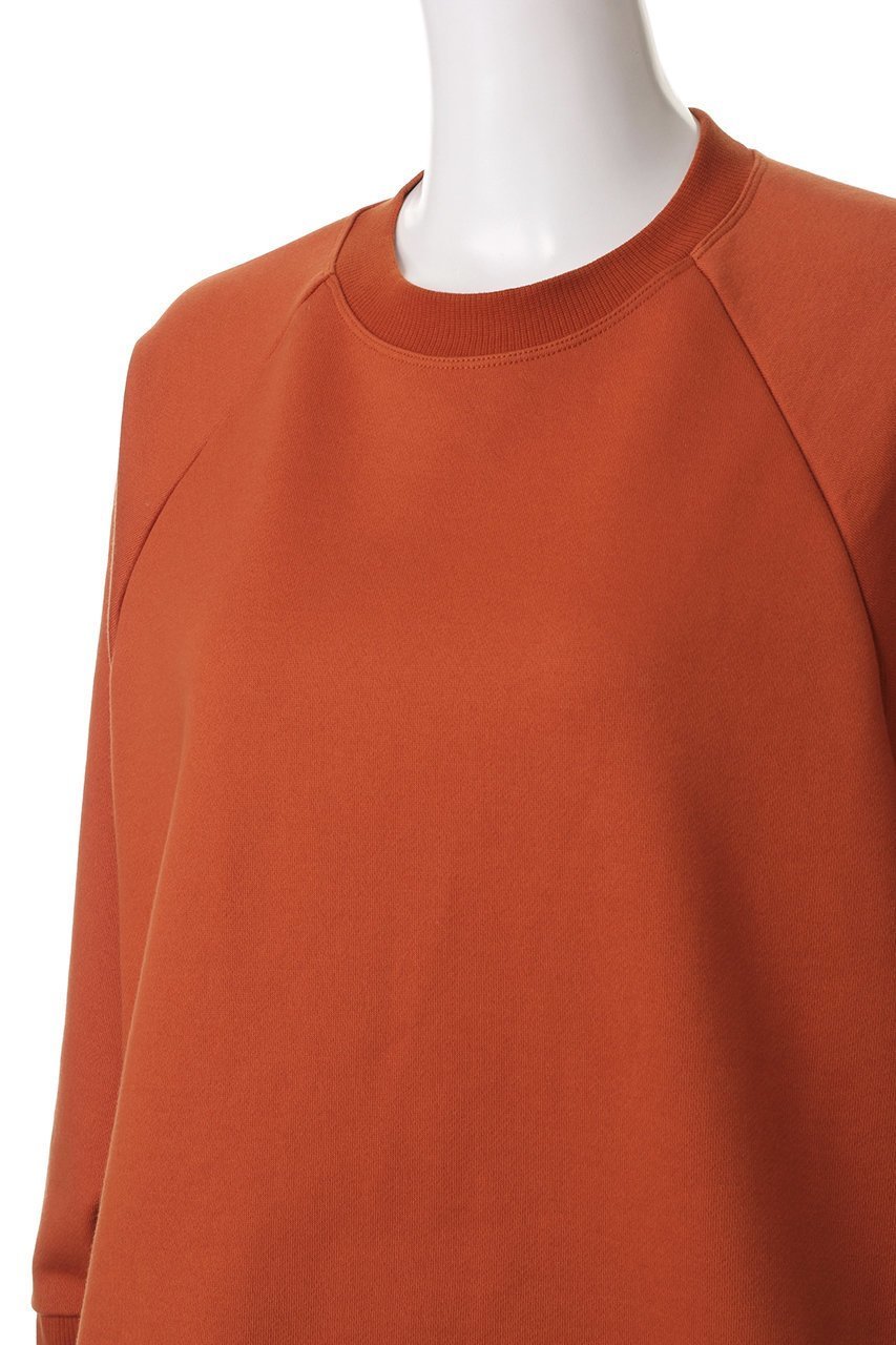 【プレインピープル/PLAIN PEOPLE】のコットンラグランプルオーバー 人気、トレンドファッション・服の通販 founy(ファニー) ファッション Fashion レディースファッション Fashion for Women トップス・カットソー Cut & Sew Tops シャツ・ブラウス・オフィスカジュアル Elegant Blouses & Button-Ups ロングTシャツ・Tシャツ Longline T-Shirts & Tees カジュアルプルオーバー・ニットトップス Pullovers & Knit Tops / Casual Pullovers カットソー・ベーシックTシャツ Cut-and-Sewn Tops / Stretch Tees & Basics シンプル Simple, Minimal スリーブ Sleeve, Long Sleeve / Short Sleeve ロング Long, Long-Length other-5|ID: prp329100004341911 ipo3291000000032884258