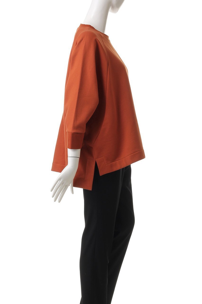 【プレインピープル/PLAIN PEOPLE】のコットンラグランプルオーバー 人気、トレンドファッション・服の通販 founy(ファニー) 　ファッション　Fashion　レディースファッション　Fashion for Women　トップス・カットソー　Cut & Sew Tops　シャツ・ブラウス・オフィスカジュアル　Elegant Blouses & Button-Ups　ロングTシャツ・Tシャツ　Longline T-Shirts & Tees　カジュアルプルオーバー・ニットトップス　Pullovers & Knit Tops / Casual Pullovers　カットソー・ベーシックTシャツ　Cut-and-Sewn Tops / Stretch Tees & Basics　シンプル　Simple, Minimal　スリーブ　Sleeve, Long Sleeve / Short Sleeve　ロング　Long, Long-Length　再入荷　Restock / Back in Stock　other-3|ID: prp329100004341911 ipo3291000000035343348