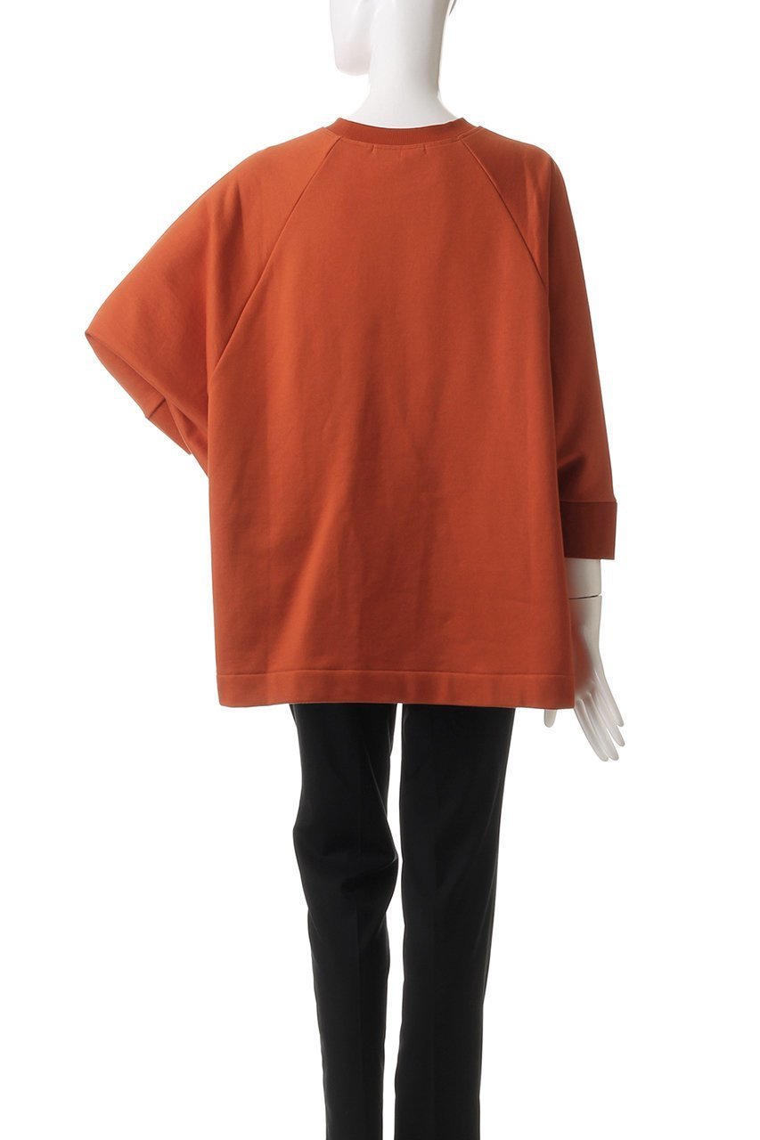 【プレインピープル/PLAIN PEOPLE】のコットンラグランプルオーバー 人気、トレンドファッション・服の通販 founy(ファニー) 　ファッション　Fashion　レディースファッション　Fashion for Women　トップス・カットソー　Cut & Sew Tops　シャツ・ブラウス・オフィスカジュアル　Elegant Blouses & Button-Ups　ロングTシャツ・Tシャツ　Longline T-Shirts & Tees　カジュアルプルオーバー・ニットトップス　Pullovers & Knit Tops / Casual Pullovers　カットソー・ベーシックTシャツ　Cut-and-Sewn Tops / Stretch Tees & Basics　シンプル　Simple, Minimal　スリーブ　Sleeve, Long Sleeve / Short Sleeve　ロング　Long, Long-Length　再入荷　Restock / Back in Stock　other-4|ID: prp329100004341911 ipo3291000000035343350