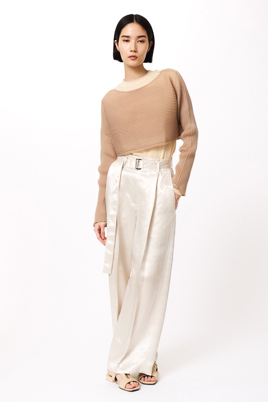 【スタニングルアー/STUNNING LURE】のrシアーリブニットトップス 人気、トレンドファッション・服の通販 founy(ファニー) 　ファッション　Fashion　レディースファッション　Fashion for Women　トップス・カットソー　Cut & Sew Tops　ニット　Knit Tops & Sweaters　カジュアルプルオーバー・ニットトップス　Pullovers & Knit Tops / Casual Pullovers　オーガンジー　Organza Fabric　シアー　Sheer, See-Through　フォルム　Silhouette, Form　リブニット　Rib Knit, Ribbed Knit　再入荷　Restock / Back in Stock　other-6|ID: prp329100004342886 ipo3291000000032951840