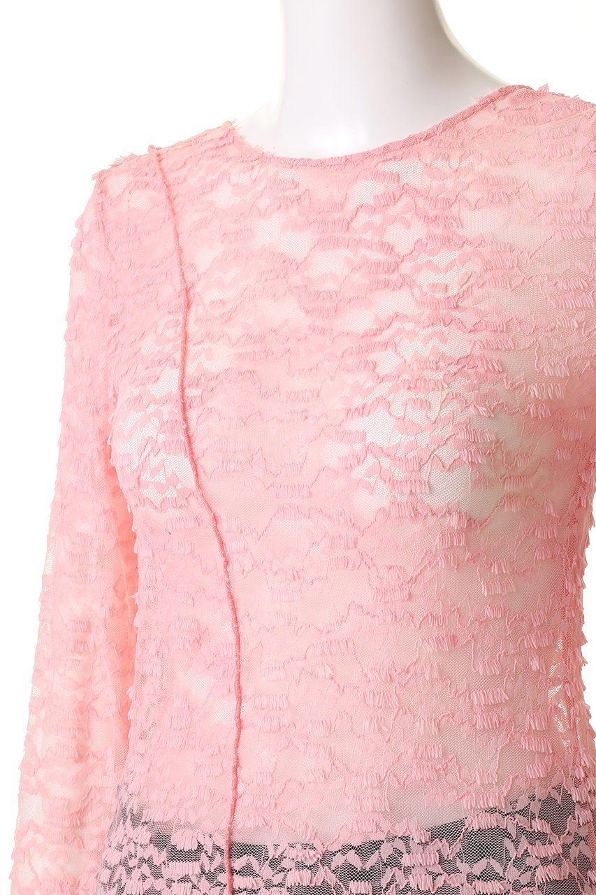 【メゾンスペシャル/MAISON SPECIAL】のFringe Lace Crew Neck Tops/フリンジレースクルートップス 人気、トレンドファッション・服の通販 founy(ファニー) ファッション Fashion レディースファッション Fashion for Women アウター Coat / Outerwear Collection トップス・カットソー Cut & Sew Tops シャツ・ブラウス・オフィスカジュアル Elegant Blouses & Button-Ups ロングTシャツ・Tシャツ Longline T-Shirts & Tees ベスト&ジレ / 重ね着スタイル Vests & Gilets カットソー・ベーシックTシャツ Cut-and-Sewn Tops / Stretch Tees & Basics インナー Innerwear スリーブ Sleeve, Long Sleeve / Short Sleeve フリンジ Fringe, Tassel レース Lace, Lace Fabric ロング Long, Long-Length 別注 Limited Edition, Custom Order other-5|ID: prp329100004343837 ipo3291000000032872780