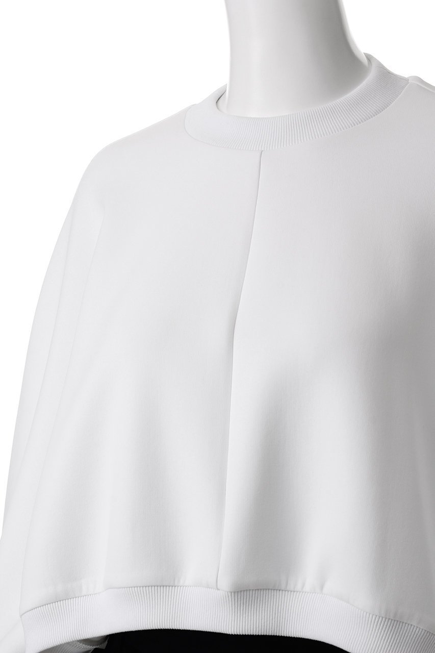 【ル フィル/LE PHIL】の《LE PHIL SPORTS》ベアダンボールショートカットソー 人気、トレンドファッション・服の通販 founy(ファニー) 　ファッション　Fashion　レディースファッション　Fashion for Women　トップス・カットソー　Cut & Sew Tops　シャツ・ブラウス・オフィスカジュアル　Elegant Blouses & Button-Ups　ロングTシャツ・Tシャツ　Longline T-Shirts & Tees　カットソー・ベーシックTシャツ　Cut-and-Sewn Tops / Stretch Tees & Basics　おすすめ　Recommended / Our Picks　ショート　Short, Short Length　シンプル　Simple, Minimal　スタイリッシュ　Stylish, Fashionable　ストレッチ　Stretch, Stretchy Fabric　スリーブ　Sleeve, Long Sleeve / Short Sleeve　タンク　Tank Top, Sleeveless Top　トレンド　Trend, Trending Now　プリント　Print, Printed Pattern　ロング　Long, Long-Length　other-5|ID: prp329100004349156 ipo3291000000035435775