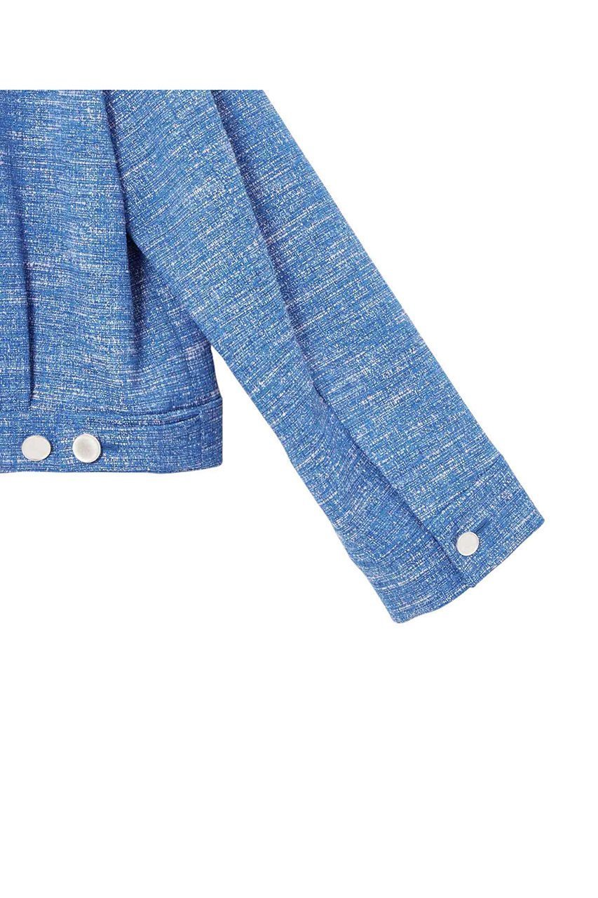 【アナイ/ANAYI】のスラブツイードブルゾン 人気、トレンドファッション・服の通販 founy(ファニー) 　ファッション　Fashion　レディースファッション　Fashion for Women　アウター　Coat / Outerwear Collection　レディースジャケット・軽アウター　Jackets　ブルゾンジャケット・スポーティアウター　Blouson Jackets　インナー　Innerwear　ジャカード／ジャガード　Jacquard, Woven Pattern　ジャケット　Jacket, Outerwear　ストレッチ　Stretch, Stretchy Fabric　スリーブ　Sleeve, Long Sleeve / Short Sleeve　ツイード　Twill, Twill Weave　フェミニン　Feminine, Girly　ブルゾン　Blouson, Bomber Jacket　リラックス　Relax, Relaxed Fit　ロング　Long, Long-Length　エレガント 上品　Elegant　other-5|ID: prp329100004353713 ipo3291000000035846872