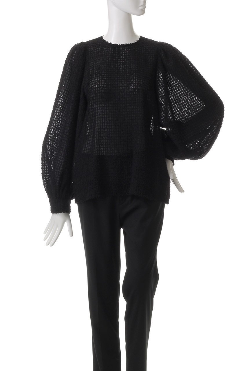 【ヒューエルミュージアム/hueLe Museum】の【hLM】シアーフェザーブラウス 人気、トレンドファッション・服の通販 founy(ファニー) 　ファッション　Fashion　レディースファッション　Fashion for Women　トップス・カットソー　Cut & Sew Tops　シャツ・ブラウス・オフィスカジュアル　Elegant Blouses & Button-Ups　インナー　Innerwear　スリーブ　Sleeve, Long Sleeve / Short Sleeve　パーティ　Party, Party Style　フェザー　Feather, Feather Detail　ロング　Long, Long-Length　other-2|ID: prp329100004356231 ipo3291000000032878364