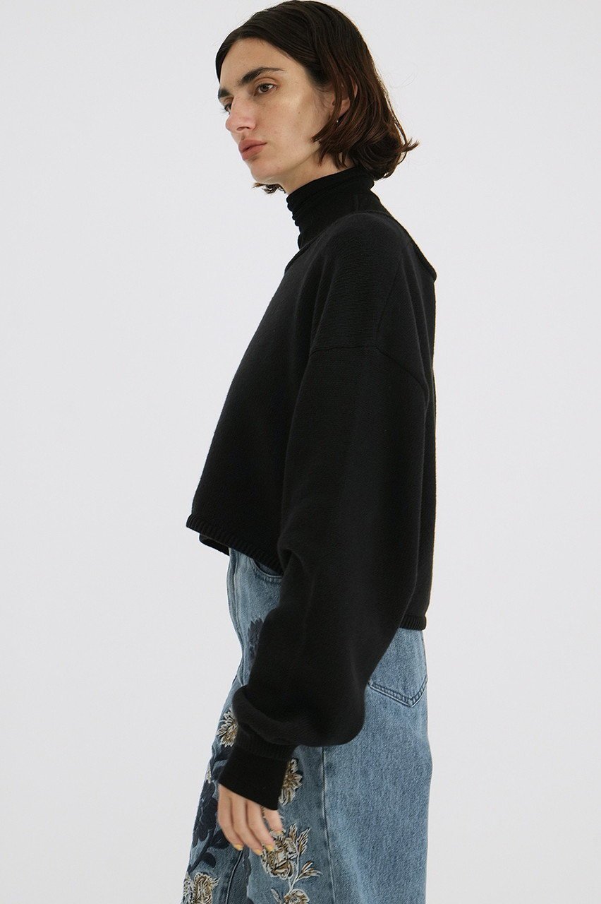 【クラネ/CLANE】のROLL NECK SHORT KNIT TOPS/ニット 人気、トレンドファッション・服の通販 founy(ファニー) 　ファッション　Fashion　レディースファッション　Fashion for Women　トップス・カットソー　Cut & Sew Tops　ニット　Knit Tops & Sweaters　カジュアルプルオーバー・ニットトップス　Pullovers & Knit Tops / Casual Pullovers　ショート　Short, Short Length　トレンド　Trend, Trending Now　リラックス　Relax, Relaxed Fit　ロング　Long, Long-Length　other-8|ID: prp329100004357119 ipo3291000000032952411