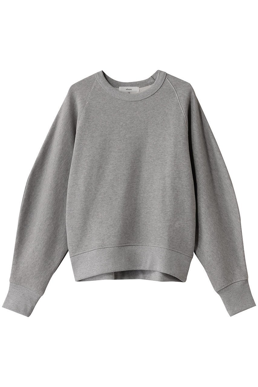 【エブール/ebure】のタンブラークリア裏毛 クルーネックカットソー インテリア・キッズ・メンズ・レディースファッション・服の通販 founy(ファニー) 　ファッション　Fashion　レディースファッション　Fashion for Women　トップス・カットソー　Cut & Sew Tops　シャツ・ブラウス・オフィスカジュアル　Elegant Blouses & Button-Ups　ロングTシャツ・Tシャツ　Longline T-Shirts & Tees　カットソー・ベーシックTシャツ　Cut-and-Sewn Tops / Stretch Tees & Basics　スリーブ　Sleeve, Long Sleeve / Short Sleeve　タンブラー　Tumbler, Travel Mug　バランス　Balance, Style Balance　フォルム　Silhouette, Form　ボトム　Bottoms, Lower Wear　ロング　Long, Long-Length　トップグレー|ID: prp329100004359681 ipo3291000000032881025