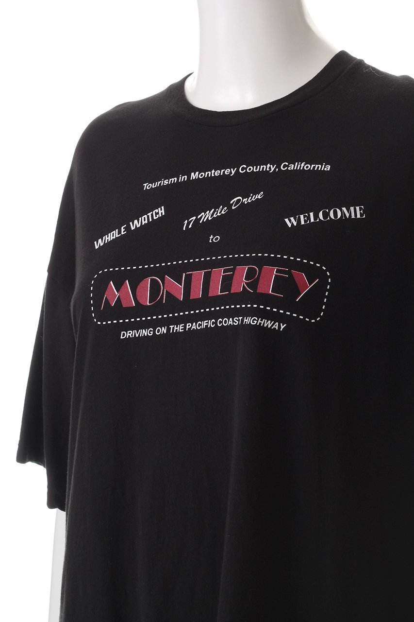 【ティッカ/TICCA】のMONTEREYTシャツ 人気、トレンドファッション・服の通販 founy(ファニー) 　ファッション　Fashion　レディースファッション　Fashion for Women　トップス・カットソー　Cut & Sew Tops　シャツ・ブラウス・オフィスカジュアル　Elegant Blouses & Button-Ups　ロングTシャツ・Tシャツ　Longline T-Shirts & Tees　カットソー・ベーシックTシャツ　Cut-and-Sewn Tops / Stretch Tees & Basics　カリフォルニア　California, Cali Style　ショート　Short, Short Length　スリーブ　Sleeve, Long Sleeve / Short Sleeve　プリント　Print, Printed Pattern　リラックス　Relax, Relaxed Fit　other-5|ID: prp329100004369498 ipo3291000000032877020
