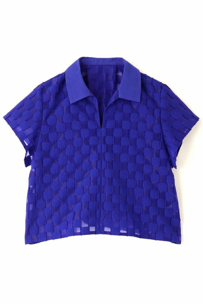 【アドーア/ADORE】のダミエジャガードブラウス インテリア・キッズ・メンズ・レディースファッション・服の通販 founy(ファニー) https://founy.com/ ファッション Fashion レディースファッション WOMEN トップス・カットソー Tops/Tshirt シャツ/ブラウス Shirts/Blouses おすすめ Recommend ショート Short ジャカード Jacquard スキッパー Skipper スリーブ Sleeve セットアップ Set Up モチーフ Motif 無地 Plain Color |ID: prp329100004374941 ipo3291000000032271475
