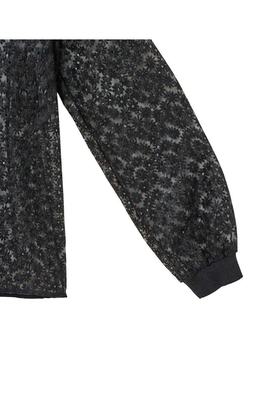 【アナイ/ANAYI】のフラワー刺繍クループルオーバー 人気、トレンドファッション・服の通販 founy(ファニー) 　ファッション　Fashion　レディースファッション　Fashion for Women　トップス・カットソー　Cut & Sew Tops　シャツ・ブラウス・オフィスカジュアル　Elegant Blouses & Button-Ups　ロングTシャツ・Tシャツ　Longline T-Shirts & Tees　カジュアルプルオーバー・ニットトップス　Pullovers & Knit Tops / Casual Pullovers　カットソー・ベーシックTシャツ　Cut-and-Sewn Tops / Stretch Tees & Basics　おすすめ　Recommended / Our Picks　アイレット　Eyelet Lace　インナー　Innerwear　シアー　Sheer, See-Through　ジャケット　Jacket, Outerwear　スリーブ　Sleeve, Long Sleeve / Short Sleeve　チュール　Tulip, Tulip Motif　ドッキング　Docking, Mixed Material　ビスチェ　Bustier, Corset Top　フラワー　Flower, Floral　モチーフ　Motif, Design Theme　ランダム　Random, Irregular　ロング　Long, Long-Length　エレガント 上品　Elegant　再入荷　Restock / Back in Stock　other-5|ID: prp329100004380638 ipo3291000000032859442