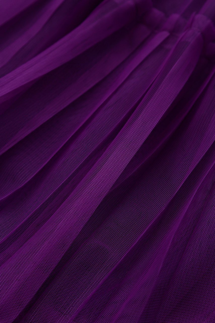 【ヒューエルミュージアム/hueLe Museum】の【STUMBLY】Tulle Pleats Layered 人気、トレンドファッション・服の通販 founy(ファニー) 　ファッション　Fashion　レディースファッション　Fashion for Women　スカート　Skirts　ロングスカート　Long Skirts / Maxi & Midi Skirts　チュール　Tulip, Tulip Motif　フェミニン　Feminine, Girly　プリーツ　Pleats, Pleated　リュクス　Luxury, Elegant, High-End, Chic　ロング　Long, Long-Length　夏　Summer　春　Spring　S/S・春夏　SS, Spring/Summer, Warm Season　other-5|ID: prp329100004385070 ipo3291000000032826408