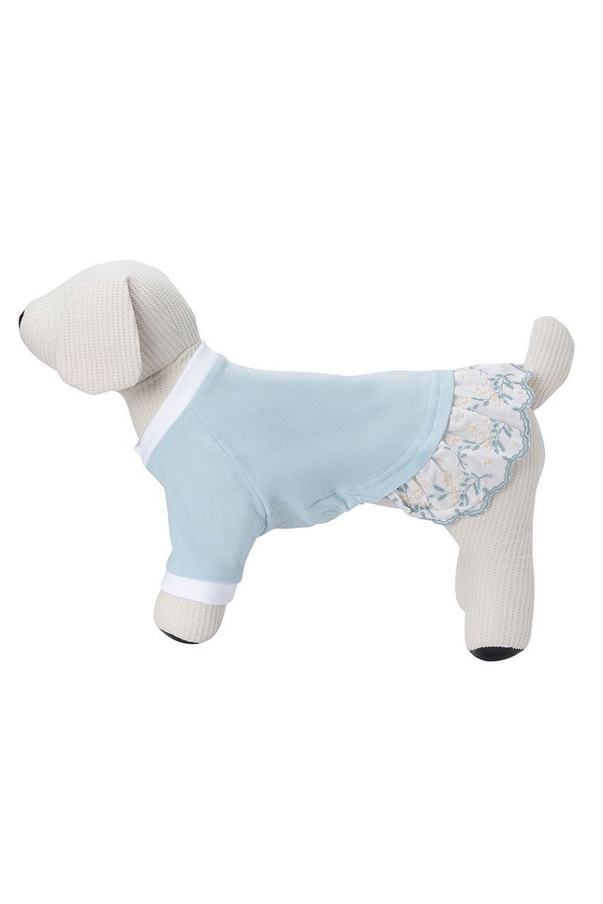 【キッドブルー/KID BLUE / GOODS】のミモザレースドッグドッグウェア 人気、トレンドファッション・服の通販 founy(ファニー) 　フリル　Frill, Ruffle　レース　Lace, Lace Fabric　エレガント 上品　Elegant　犬　Dog　ホーム・キャンプ・アウトドア・お取り寄せ　Home Living / Home & Lifestyle / Camping Gear / Outdoor Camping　ペットグッズ　Pet Supplies　other-6|ID: prp329100004393610 ipo3291000000035939740