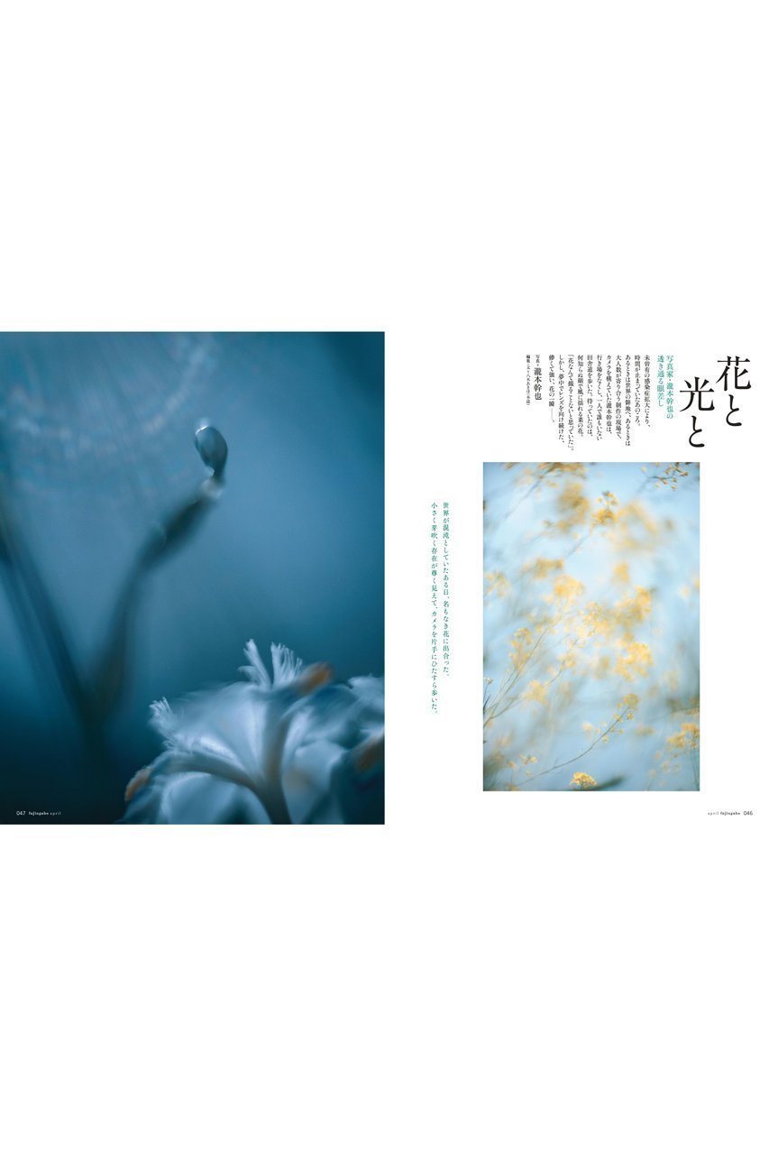 【ハースト婦人画報社/Hearst Fujingaho】の【送料無料】婦人画報 4月号(2025/3/1発売) 人気、トレンドファッション・服の通販 founy(ファニー) 　ファッション　Fashion　レディースファッション　WOMEN　春　Spring　カメラ　Camera　4月号　April Issue　ジャケット　Jacket　雑誌　Magazine　トライアングル　Triangle　送料無料　Free Shipping　other-8|ID: prp329100004406004 ipo3291000000031547891