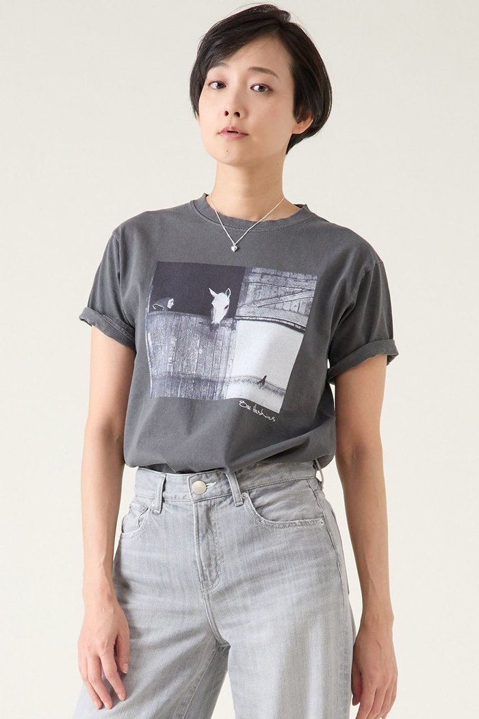 【マルティニーク/martinique】の《別注》【COUTURE D ADAM】Sam Haskins/Horse Tシャツ インテリア・キッズ・メンズ・レディースファッション・服の通販 founy(ファニー) https://founy.com/ ファッション Fashion レディースファッション Fashion for Women トップス・カットソー Cut & Sew Tops シャツ・ブラウス・オフィスカジュアル Elegant Blouses & Button-Ups ロングTシャツ・Tシャツ Longline T-Shirts & Tees カットソー・ベーシックTシャツ Cut-and-Sewn Tops / Stretch Tees & Basics コレクション Collection, Seasonal Line ショート Short, Short Length スリーブ Sleeve, Long Sleeve / Short Sleeve ヴィンテージ Vintage Style 別注 Limited Edition, Custom Order |ID: prp329100004417191 ipo3291000000032846347