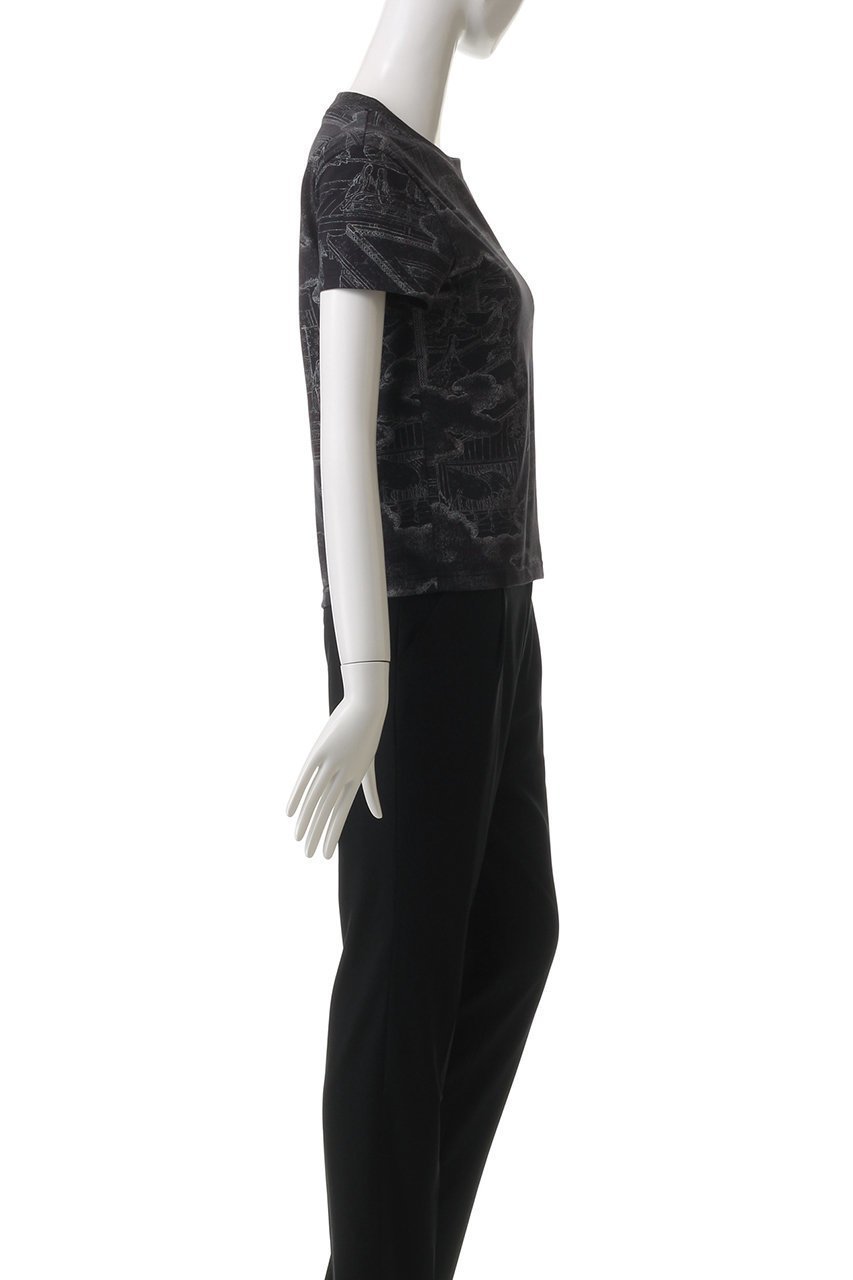 【カナコ サカイ/KANAKO SAKAI】のJAPANESE PRINTED FITTED Tシャツ 人気、トレンドファッション・服の通販 founy(ファニー) 　ファッション　Fashion　レディースファッション　Fashion for Women　トップス・カットソー　Cut & Sew Tops　シャツ・ブラウス・オフィスカジュアル　Elegant Blouses & Button-Ups　ロングTシャツ・Tシャツ　Longline T-Shirts & Tees　カットソー・ベーシックTシャツ　Cut-and-Sewn Tops / Stretch Tees & Basics　コンパクト　Compact, Small Size　ショート　Short, Short Length　スリーブ　Sleeve, Long Sleeve / Short Sleeve　バランス　Balance, Style Balance　プリント　Print, Printed Pattern　ボトム　Bottoms, Lower Wear　other-3|ID: prp329100004417238 ipo3291000000032869253