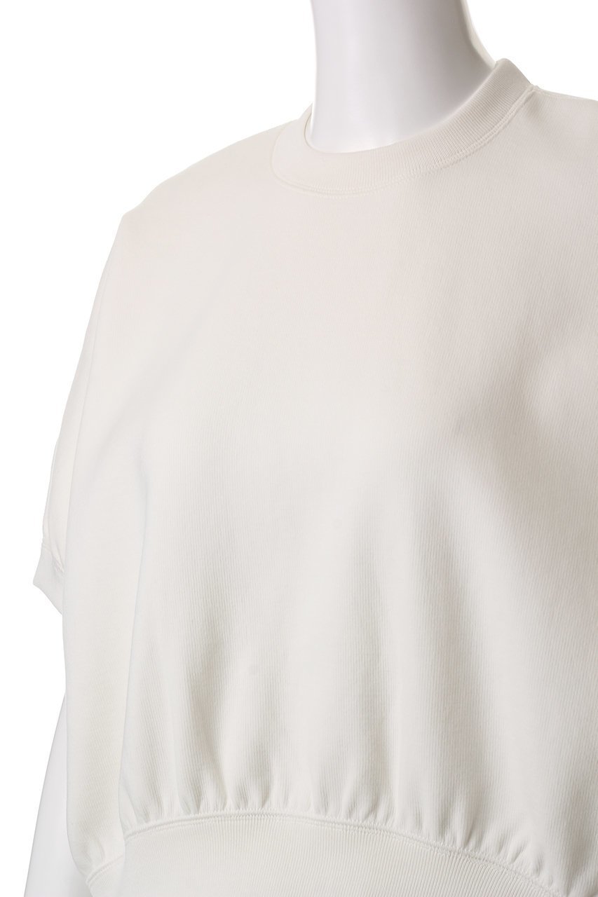 【サクラ/SACRA】のダブルニットクロスドルマンプルオーバー 人気、トレンドファッション・服の通販 founy(ファニー) 　ファッション　Fashion　レディースファッション　Fashion for Women　トップス・カットソー　Cut & Sew Tops　ニット　Knit Tops & Sweaters　カジュアルプルオーバー・ニットトップス　Pullovers & Knit Tops / Casual Pullovers　ギャザー　Gathered, Ruffled　クロップド　Cropped, Short Length　シンプル　Simple, Minimal　スリーブ　Sleeve, Long Sleeve / Short Sleeve　ダブル　Double, Double-Breasted　フォルム　Silhouette, Form　other-5|ID: prp329100004417272 ipo3291000000032946387